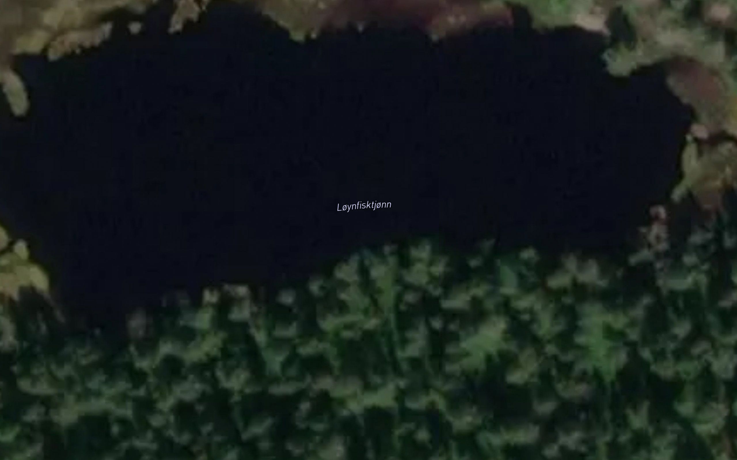 Loynfisktjorna