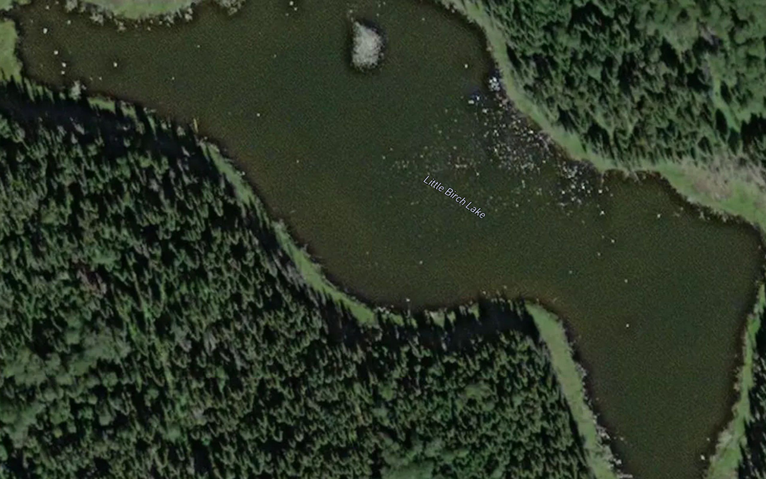 Little Birch Lake