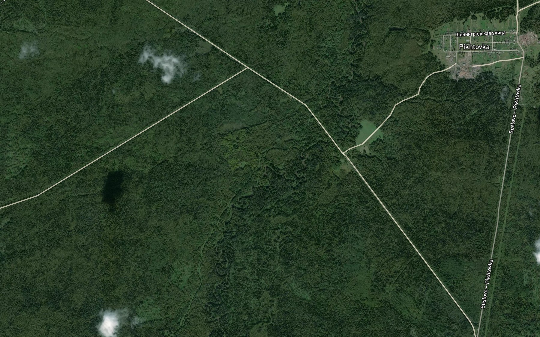Satellite map of the Vishnevka