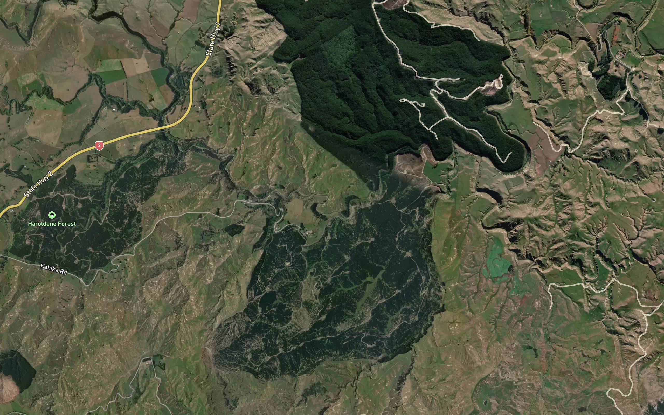 Matahorua Stream