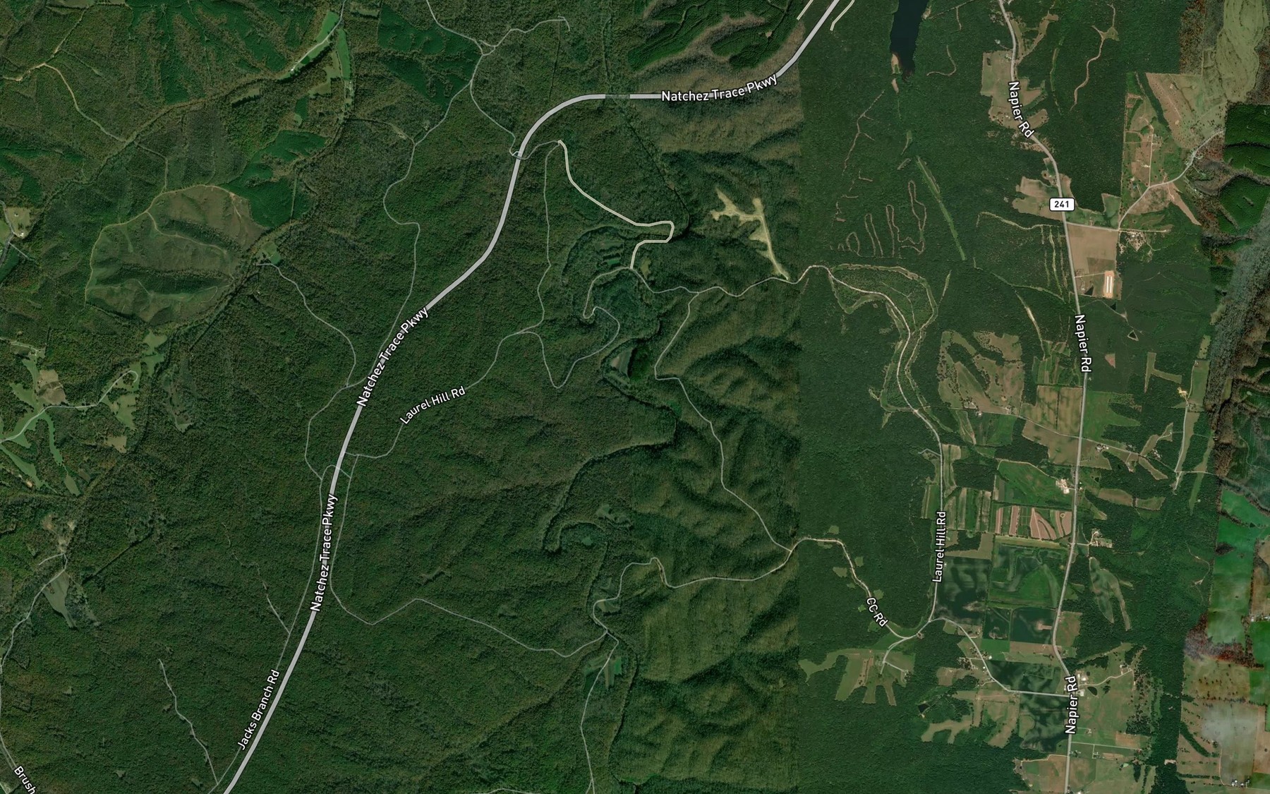 Satellite map of the Simmons Gin Branch