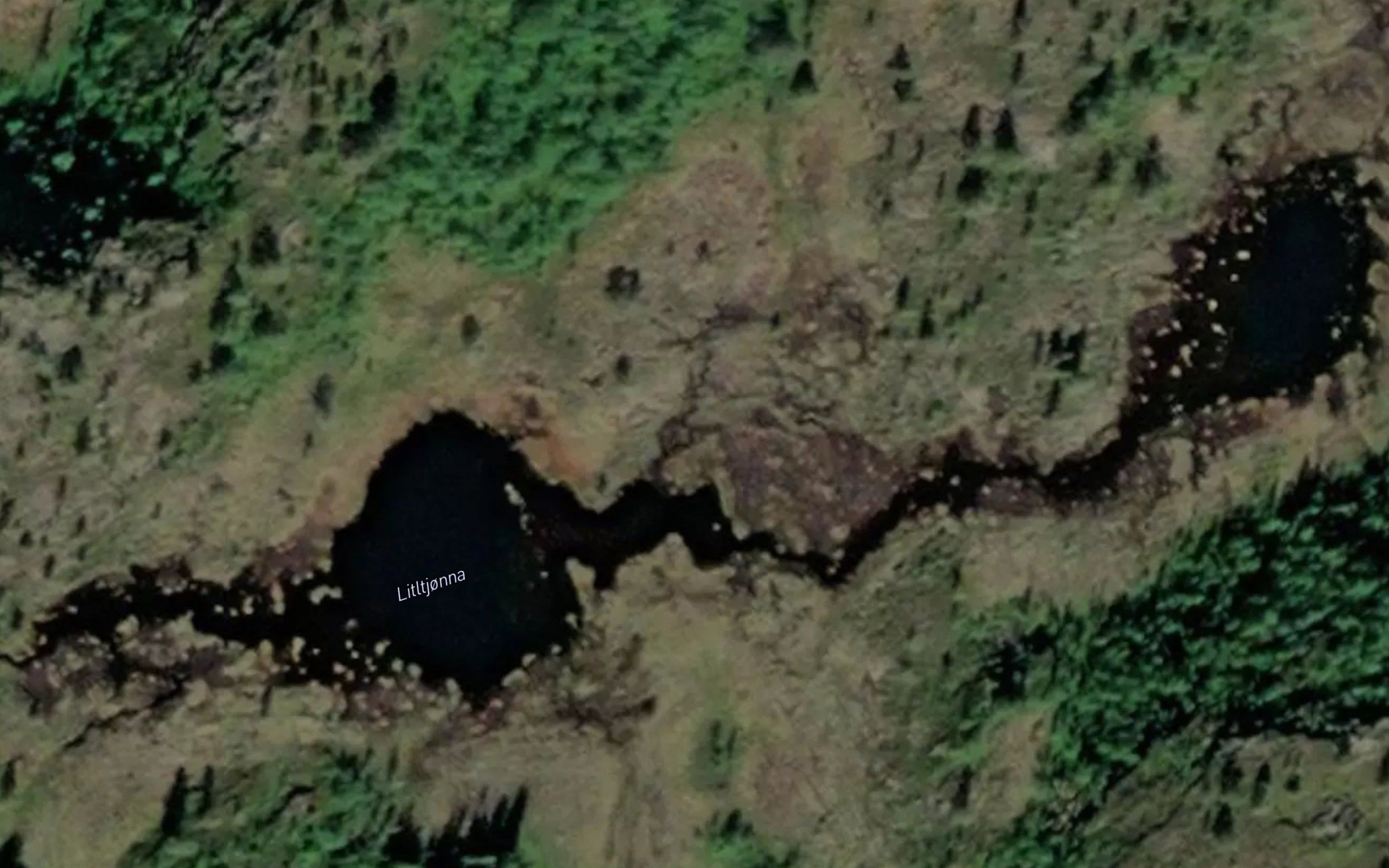Litltjorna