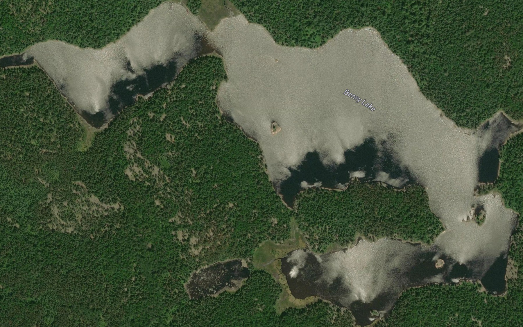 Satellite map of the Benny Lake