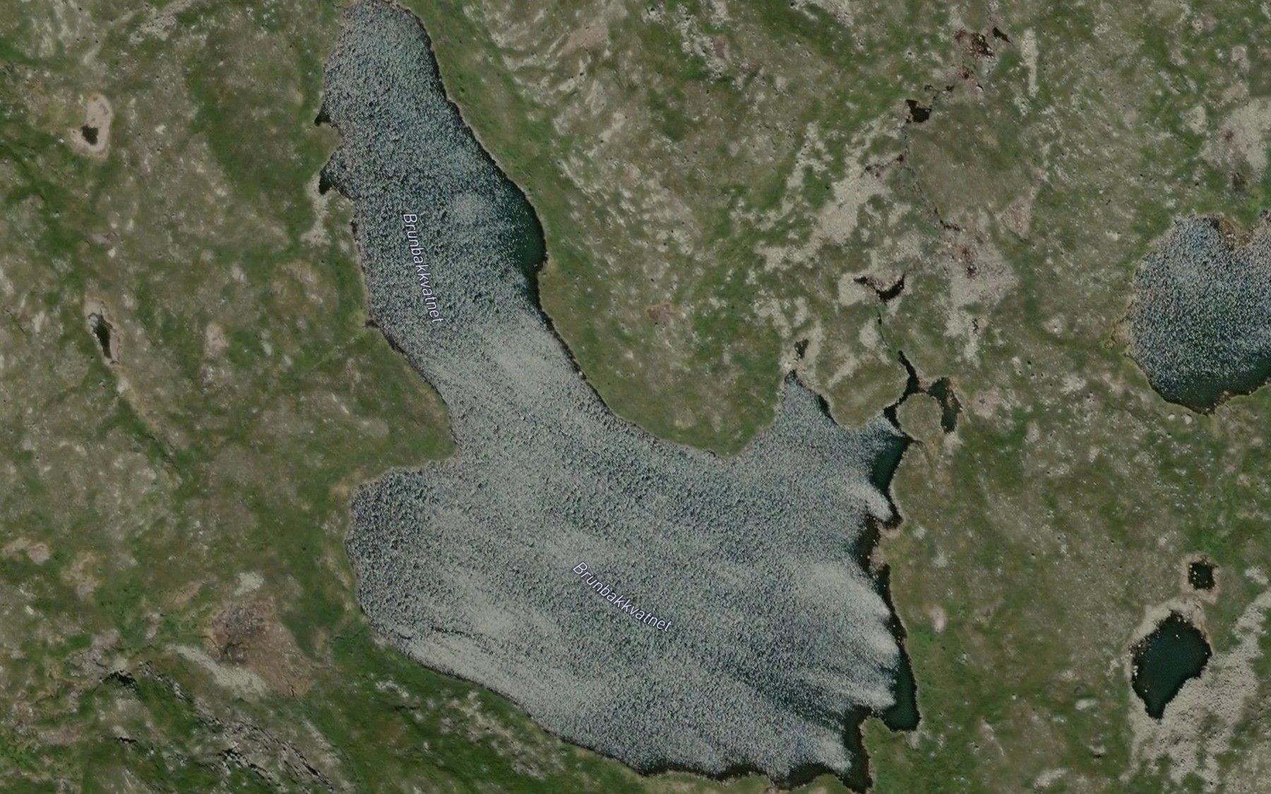 Satellite map of the Brunbakkvatnet