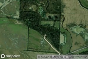 Sand Slough
