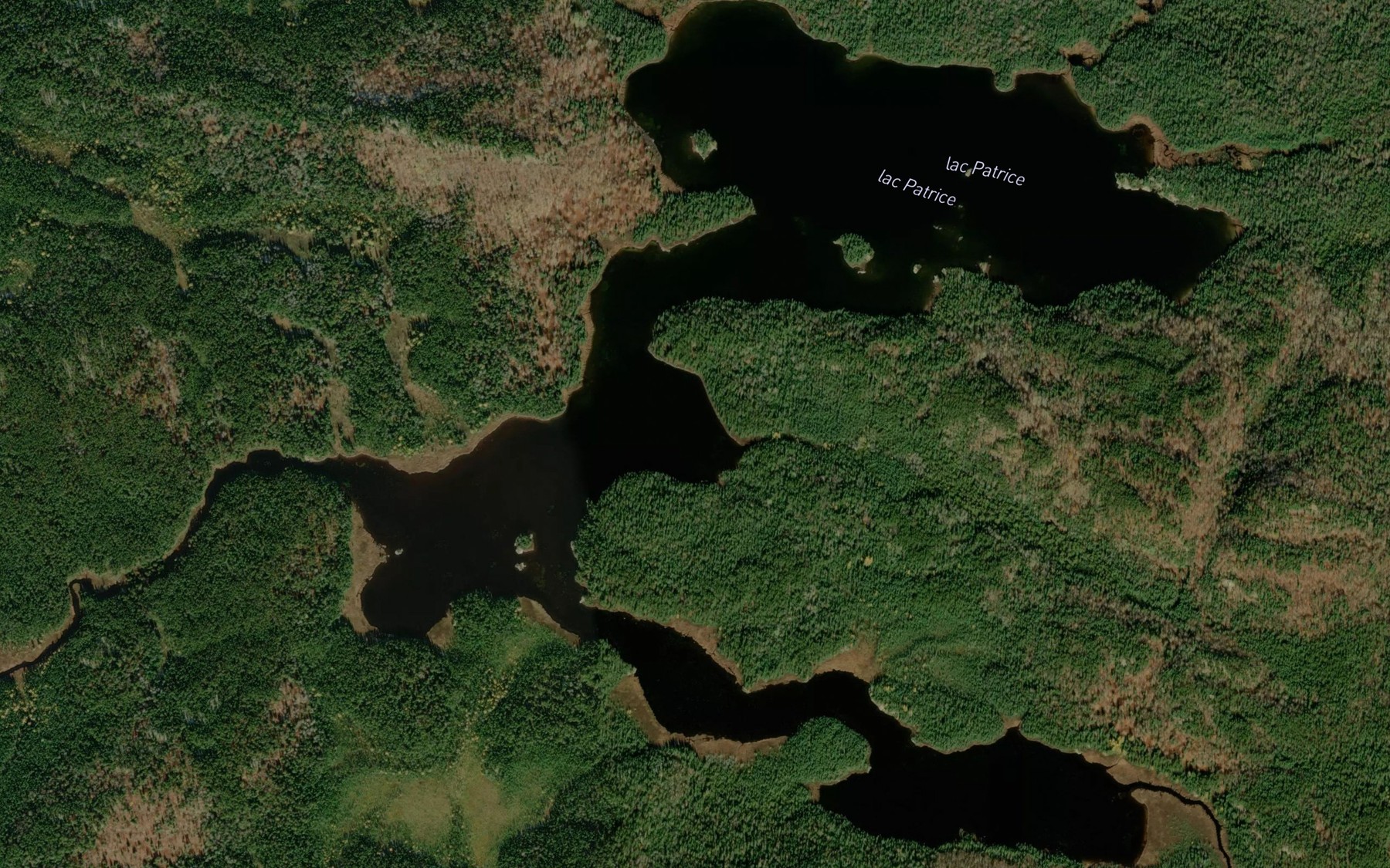 Satellite map of the Lac Patrice