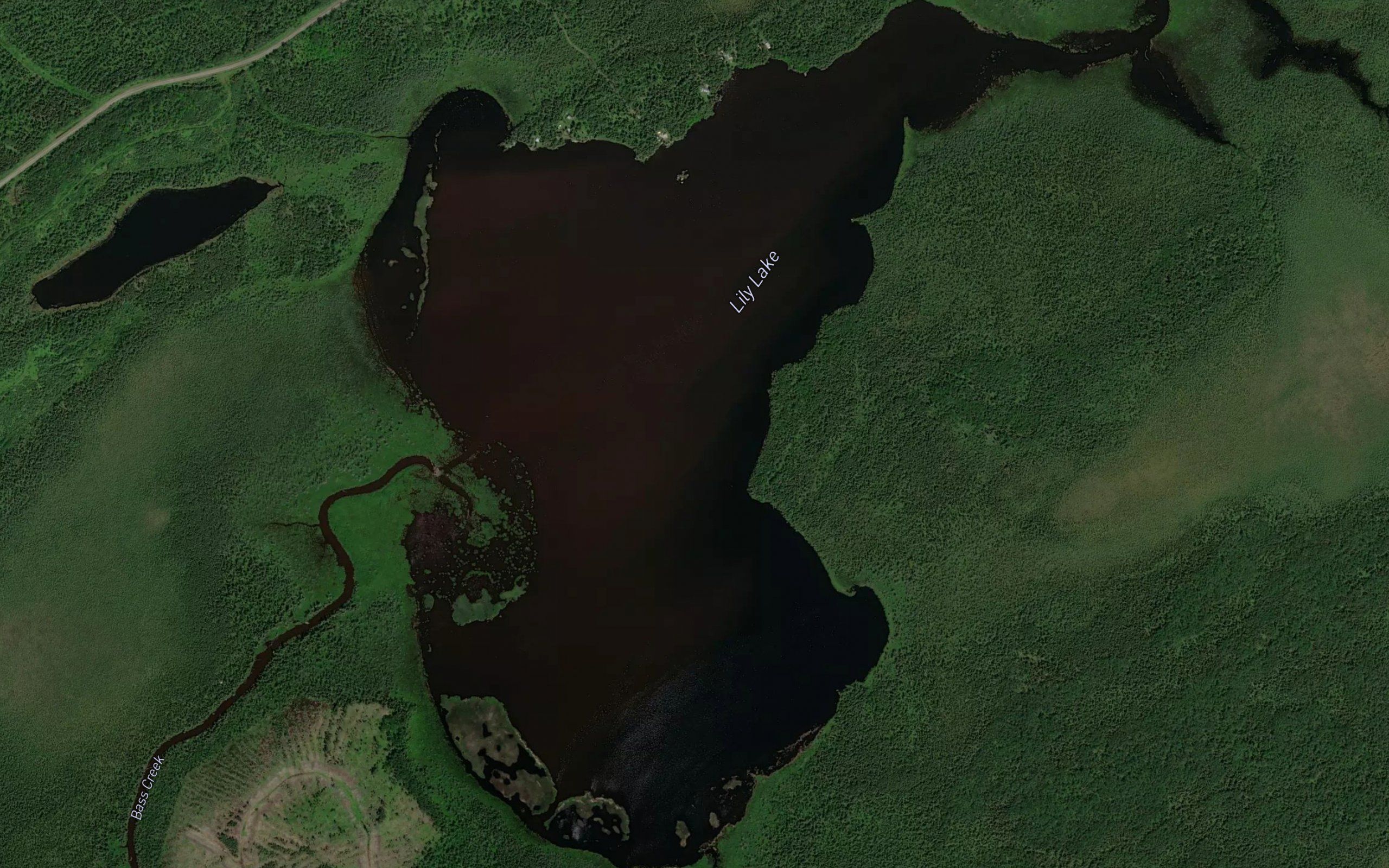 Lily Lake