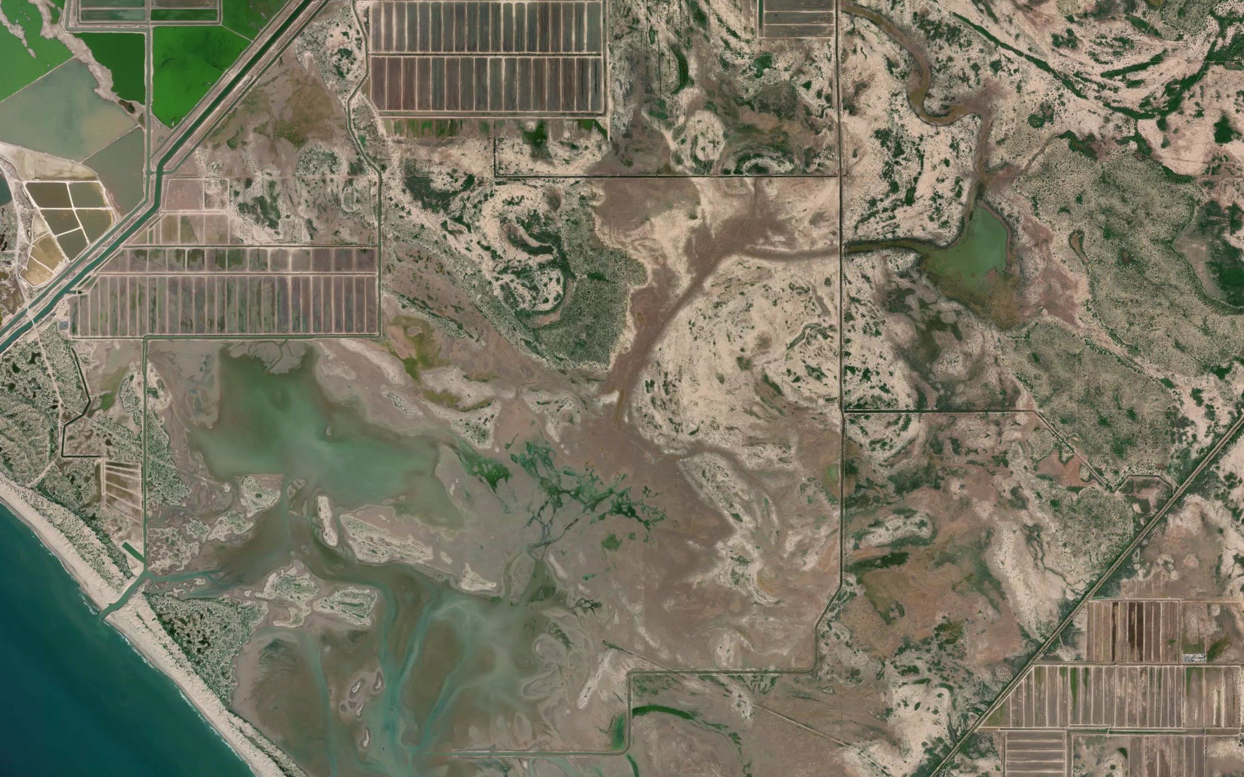 Los Bajos