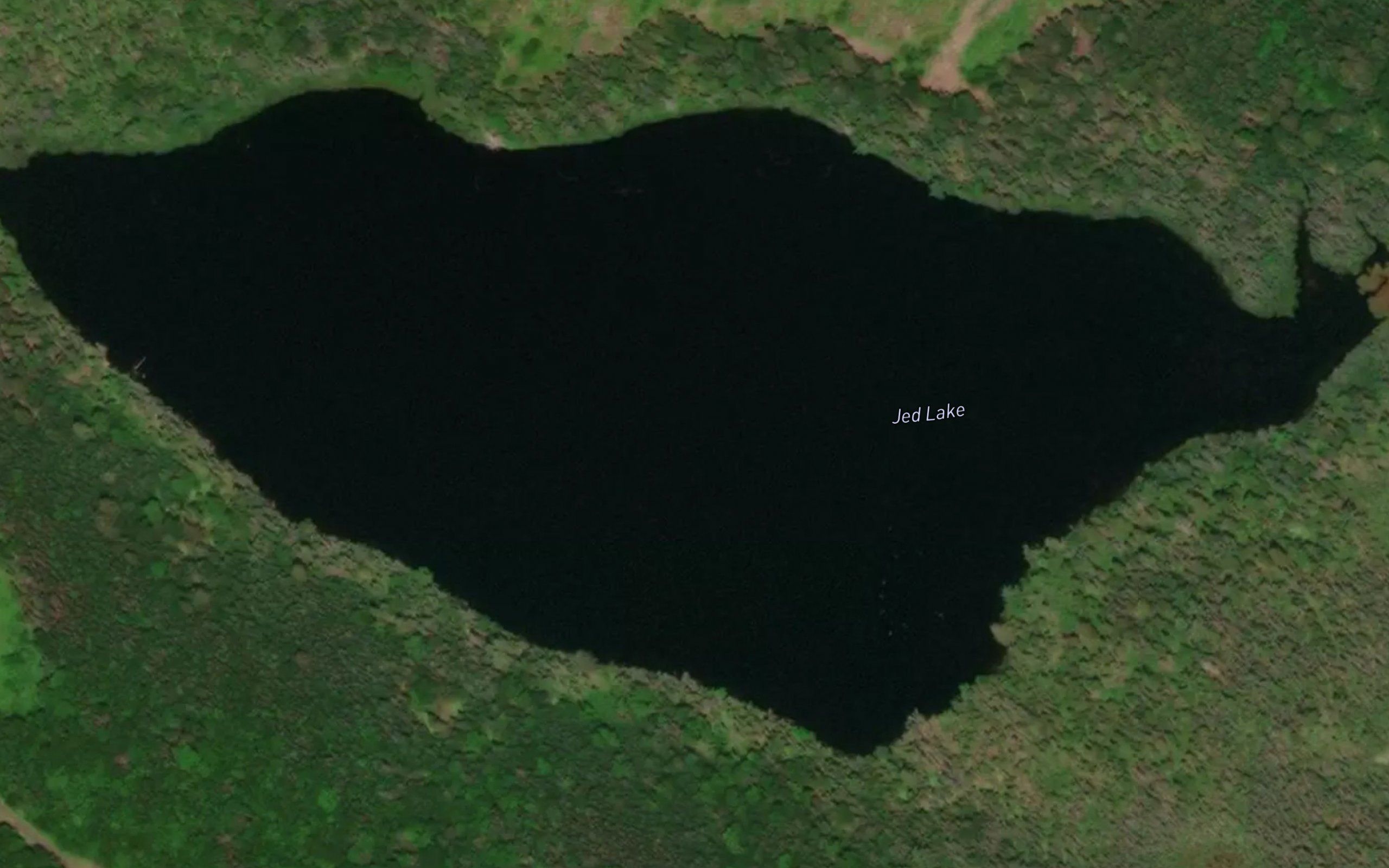 Jed Lake