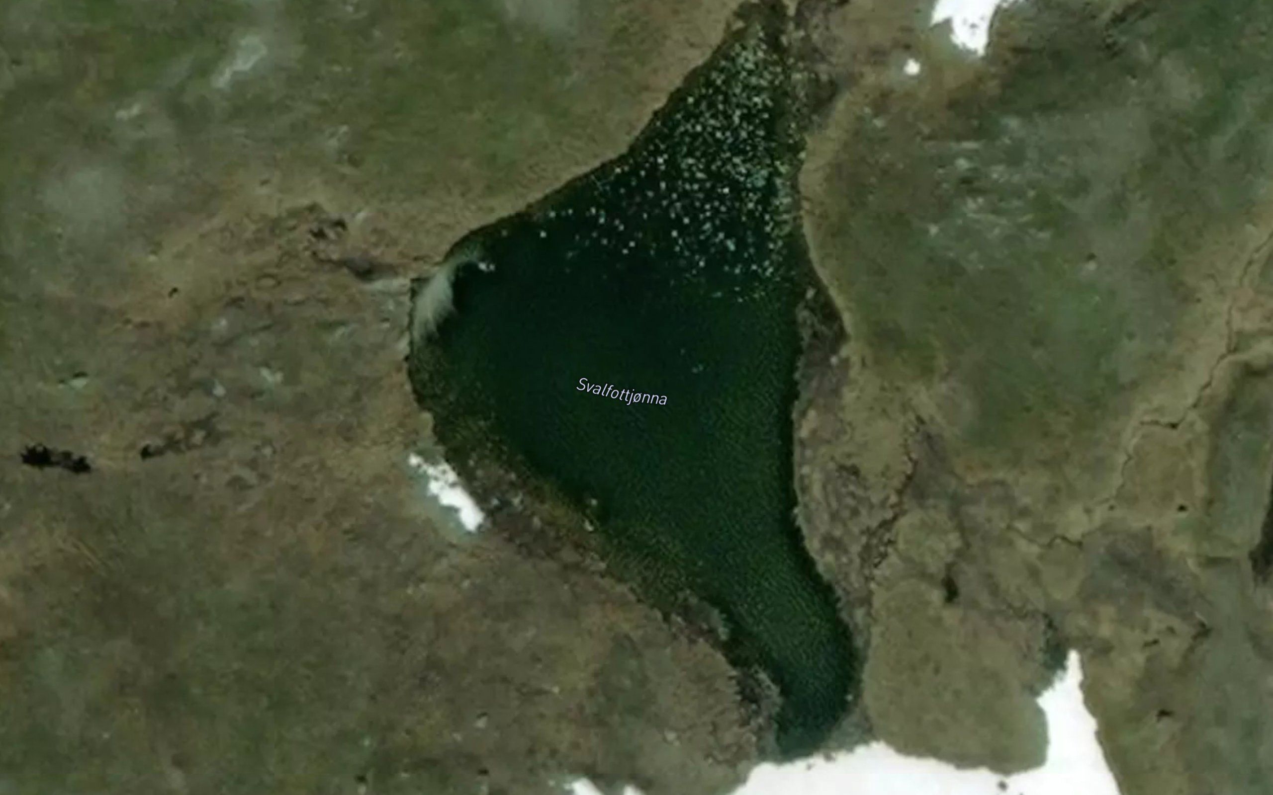 Svalfottjorna