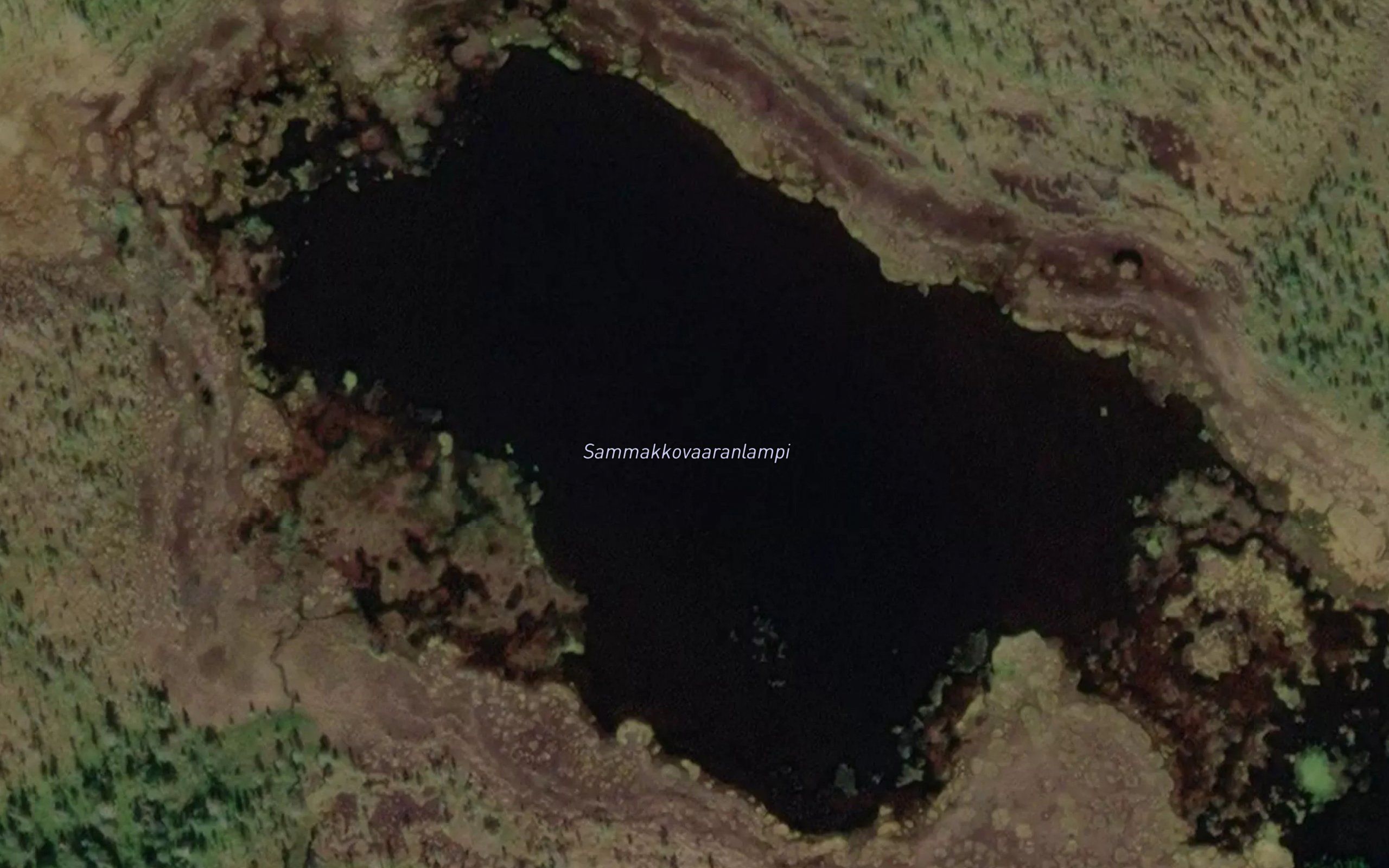 Sammakkovaaranlampi
