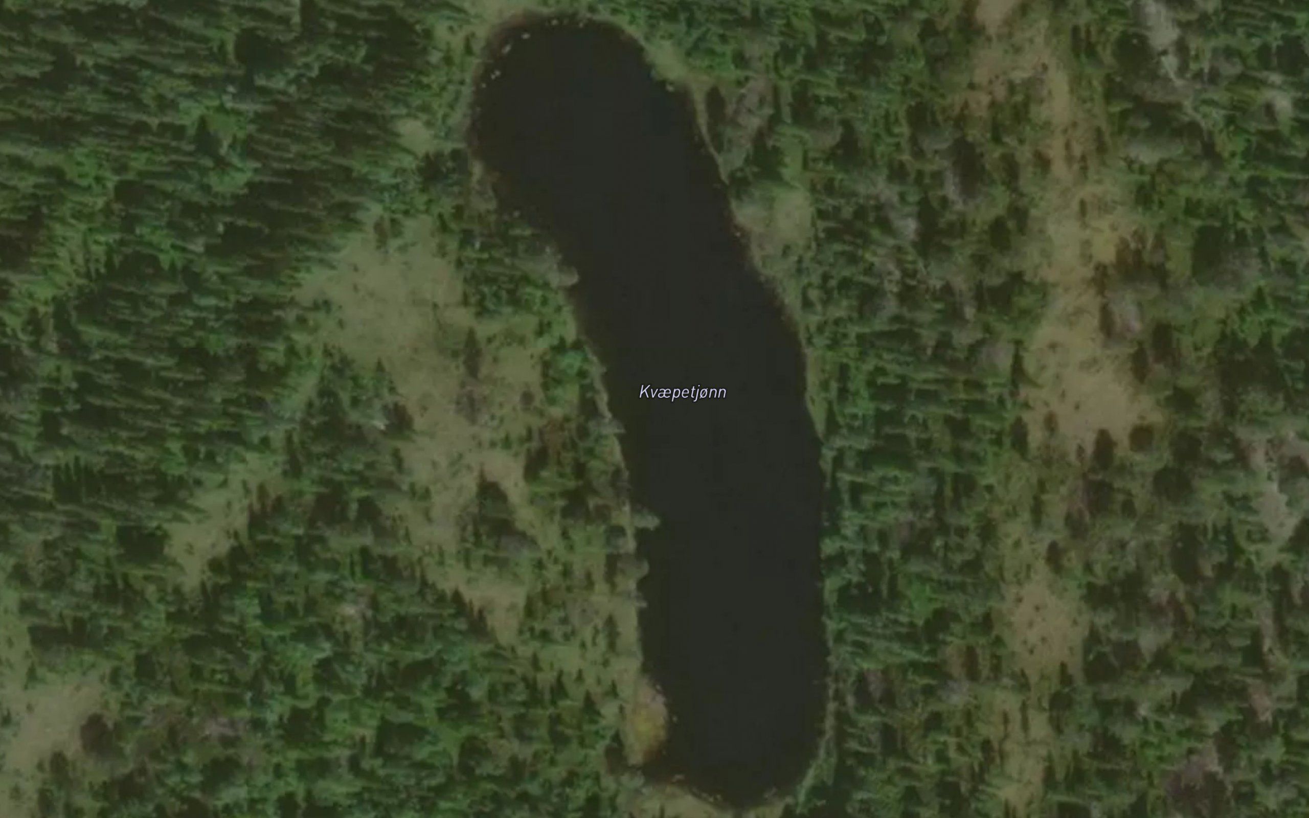 Kvaepetjonn
