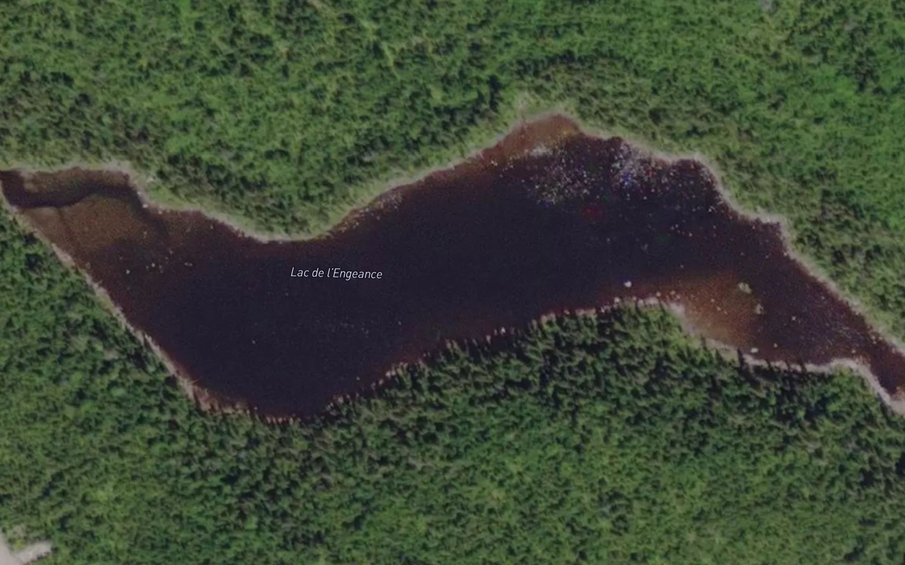 Satellite map of the Lac de l'Engeance