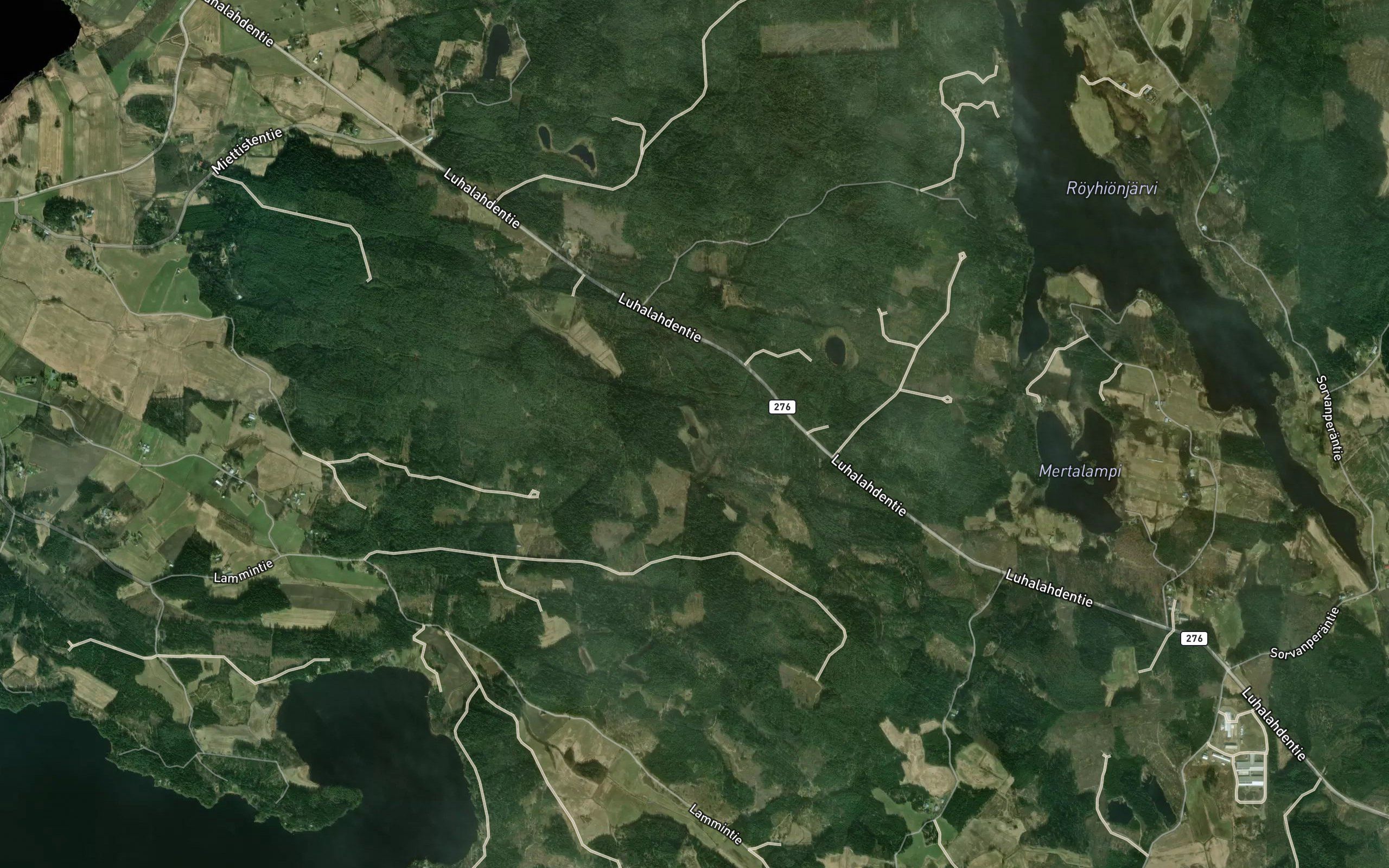 Kuisevalammi