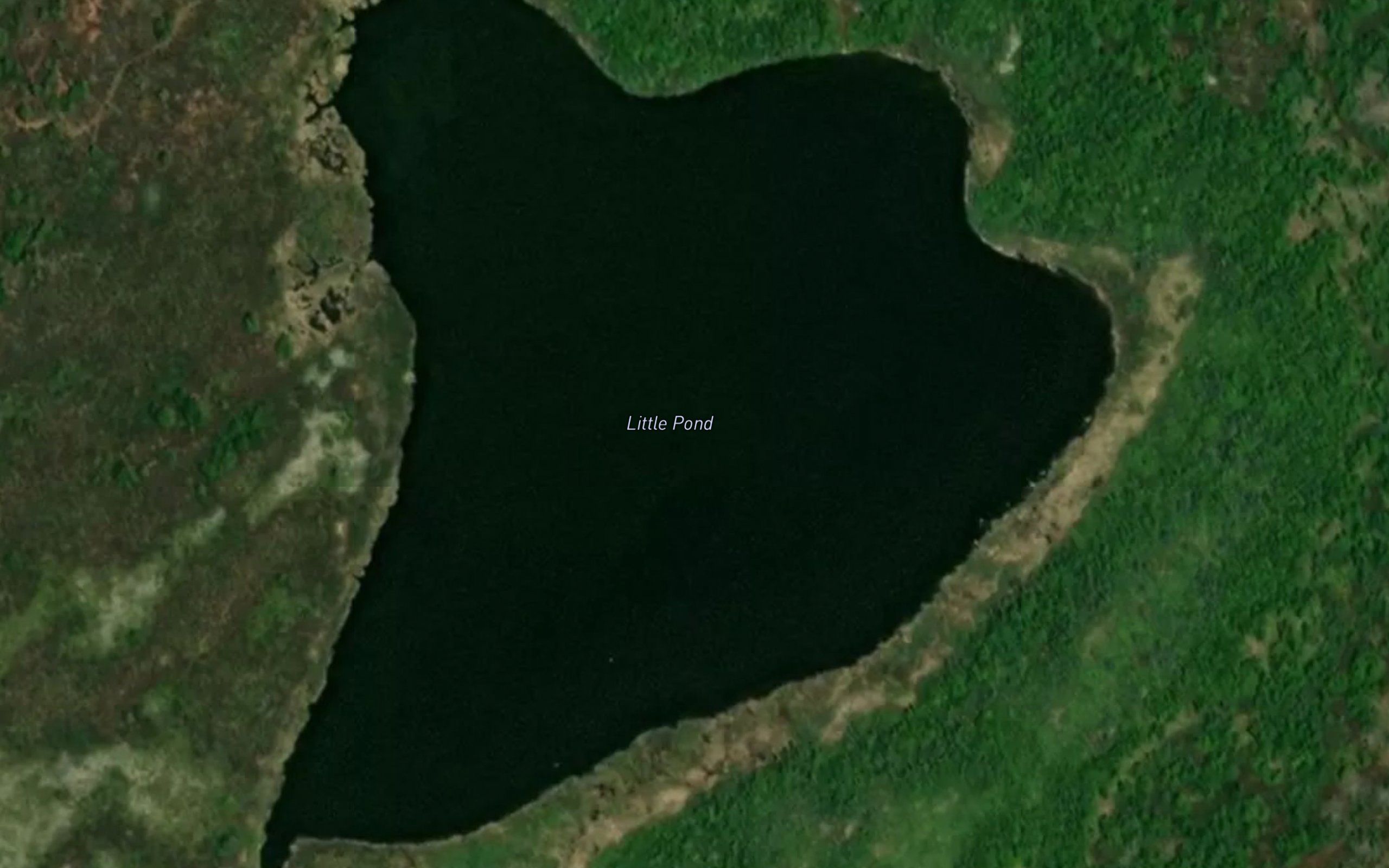 Little Pond