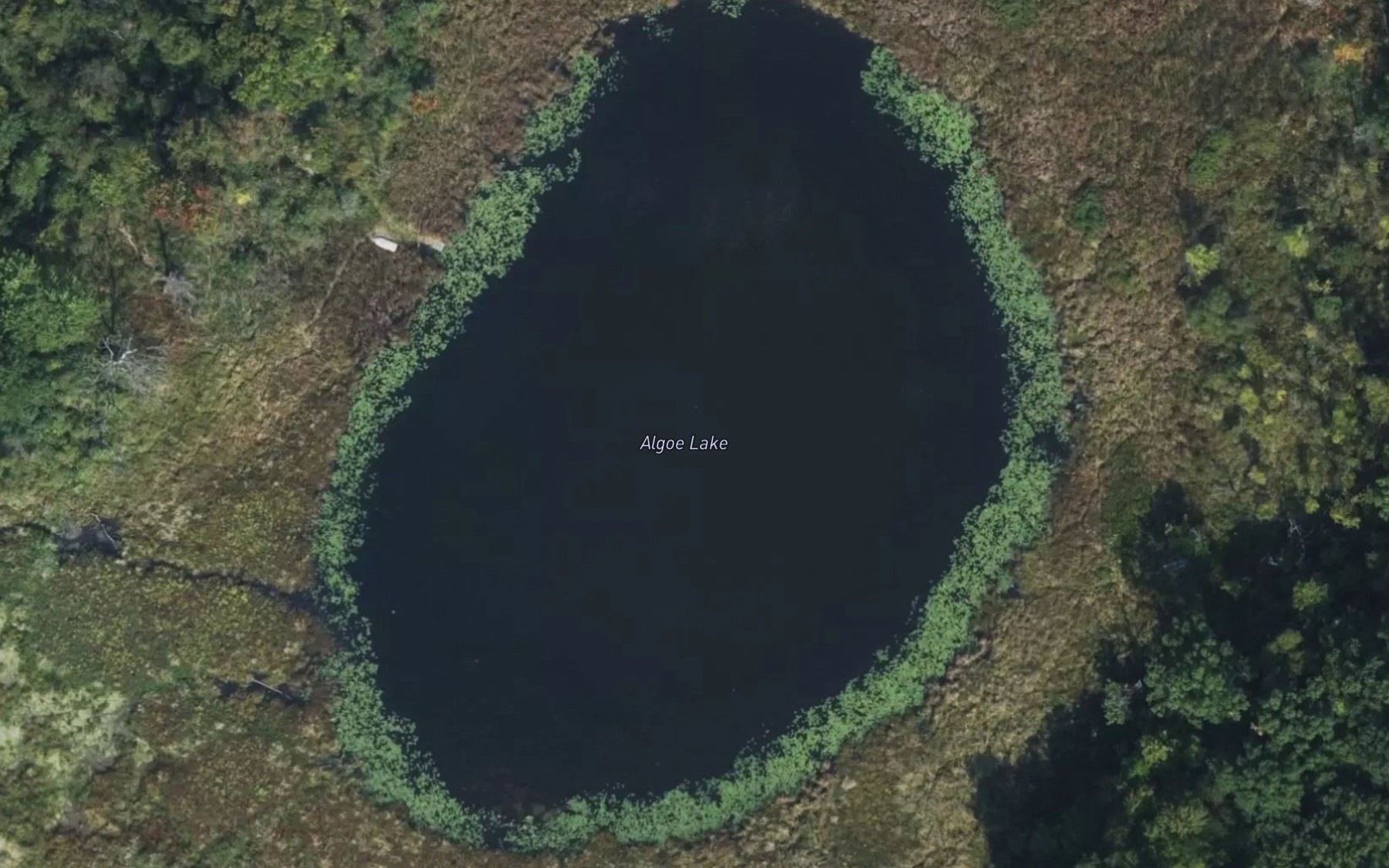 Satellite map of the Algoe Lake