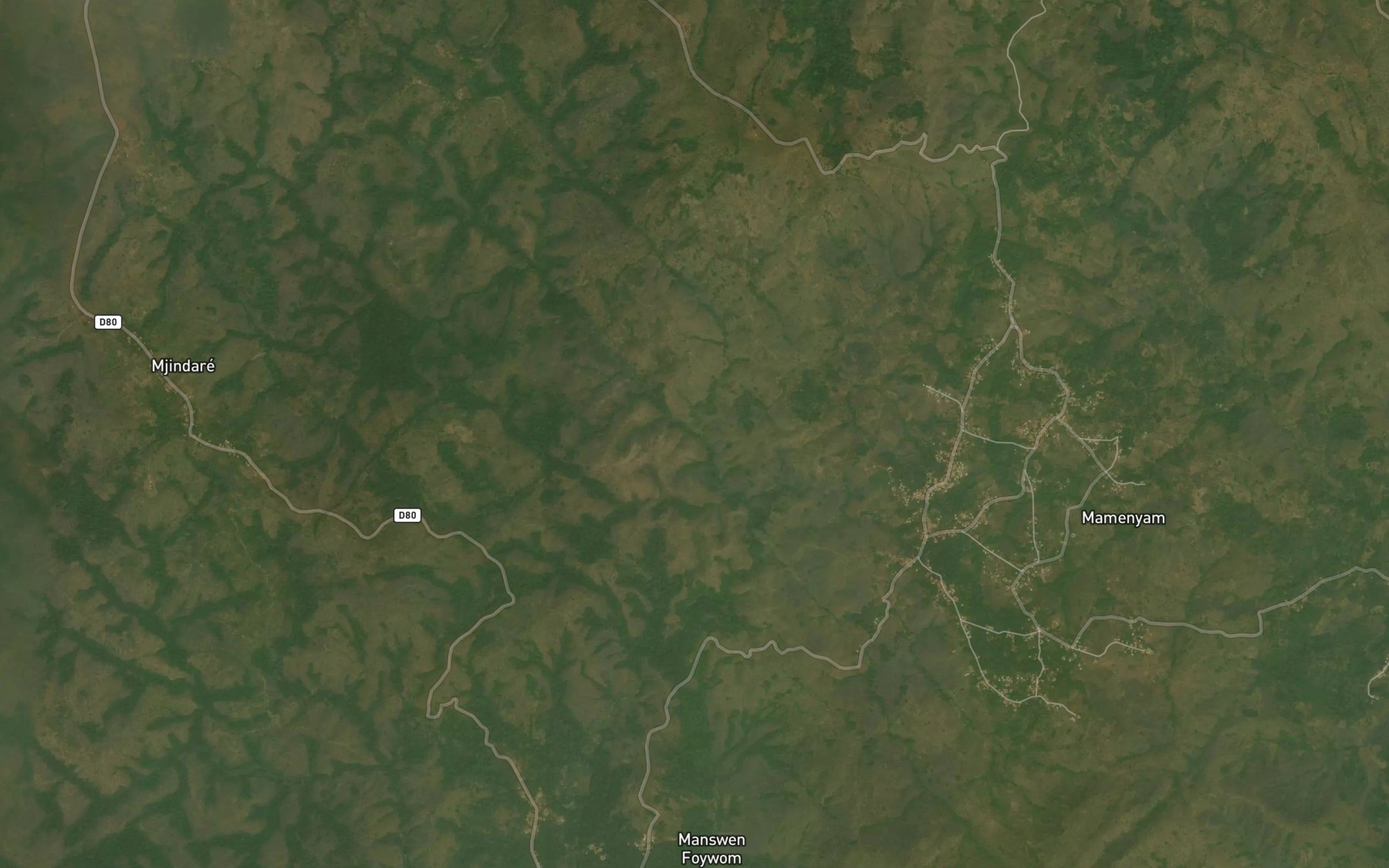 Satellite map of the Lonlong