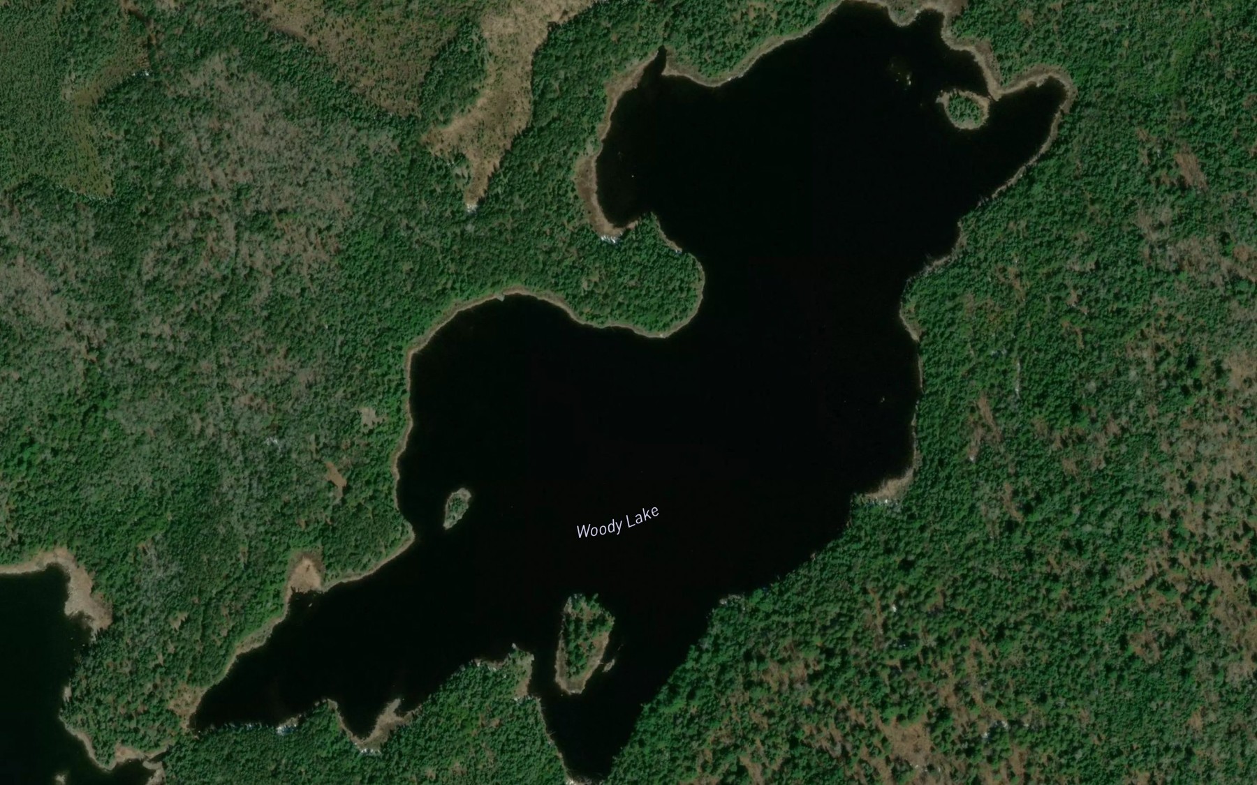 Satellite map of the Woody Lake