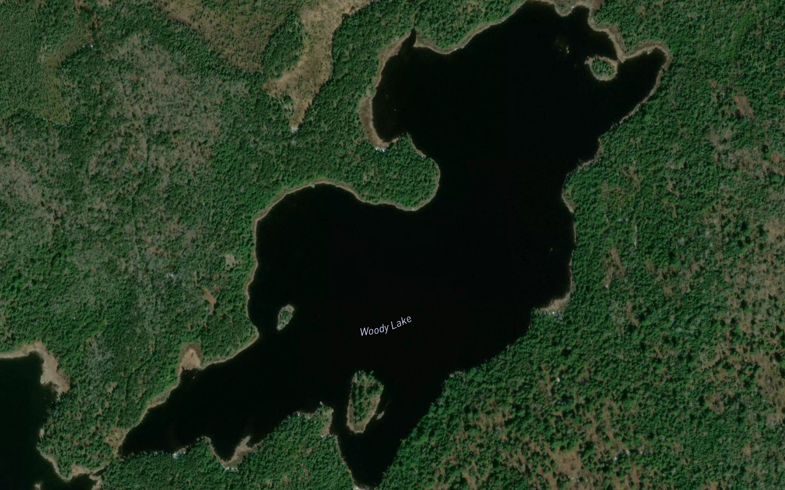 Woody Lake