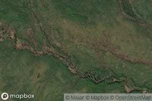 Wolverine Creek
