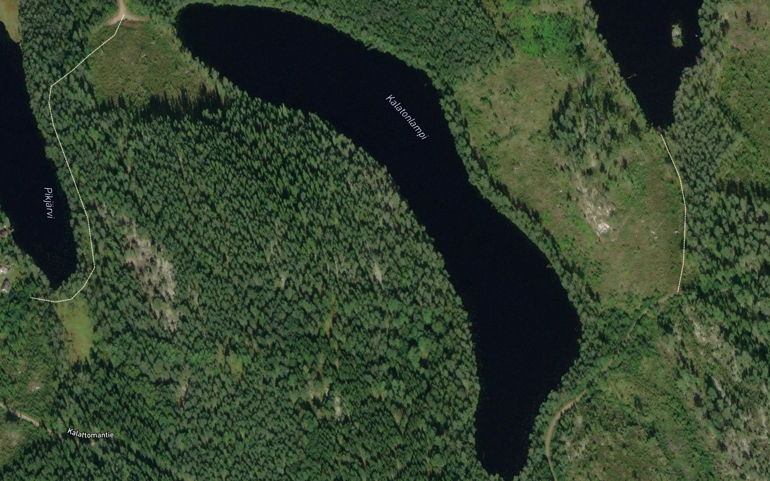 Kalatonlampi