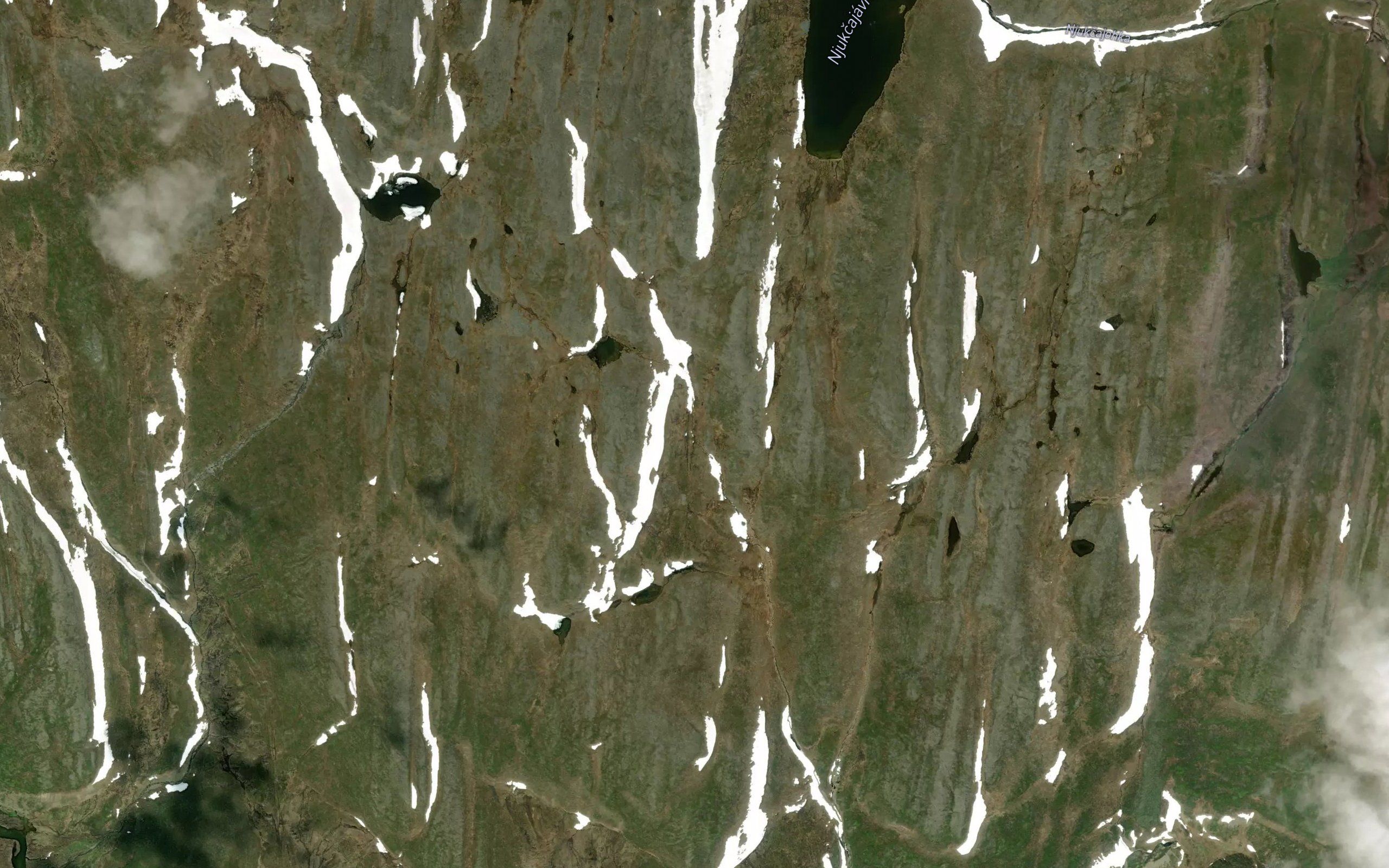 Javnesjakka