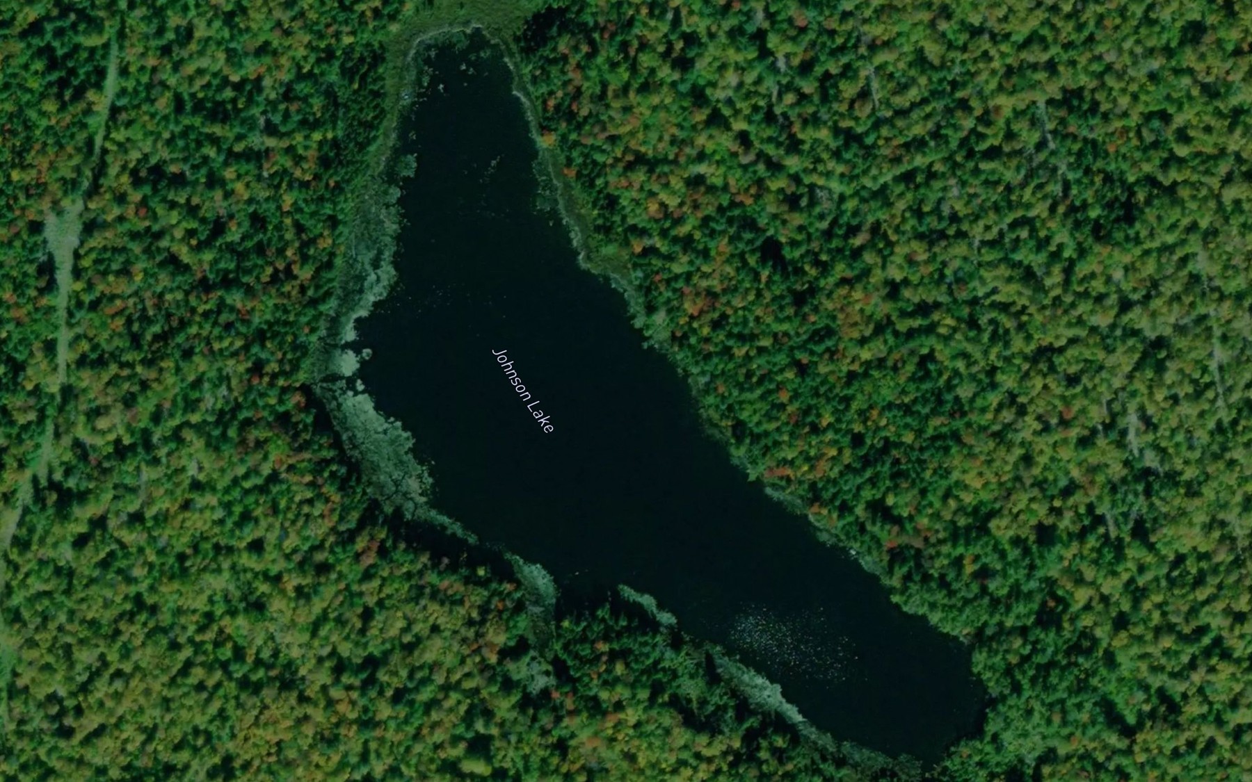 Satellite map of the Johnson Lake