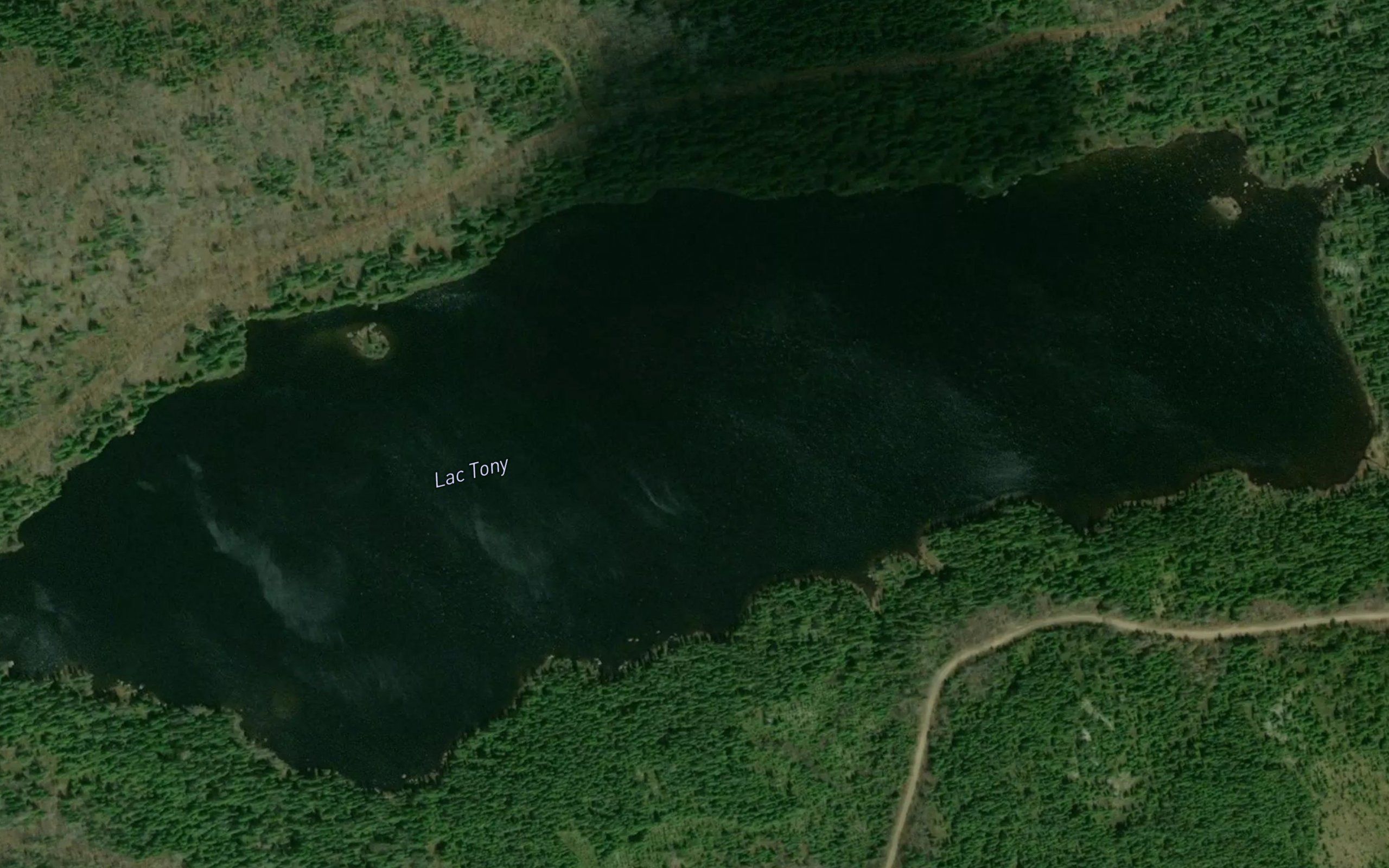 Lac Tony