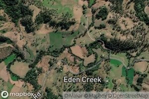 Chestnut Horse Creek