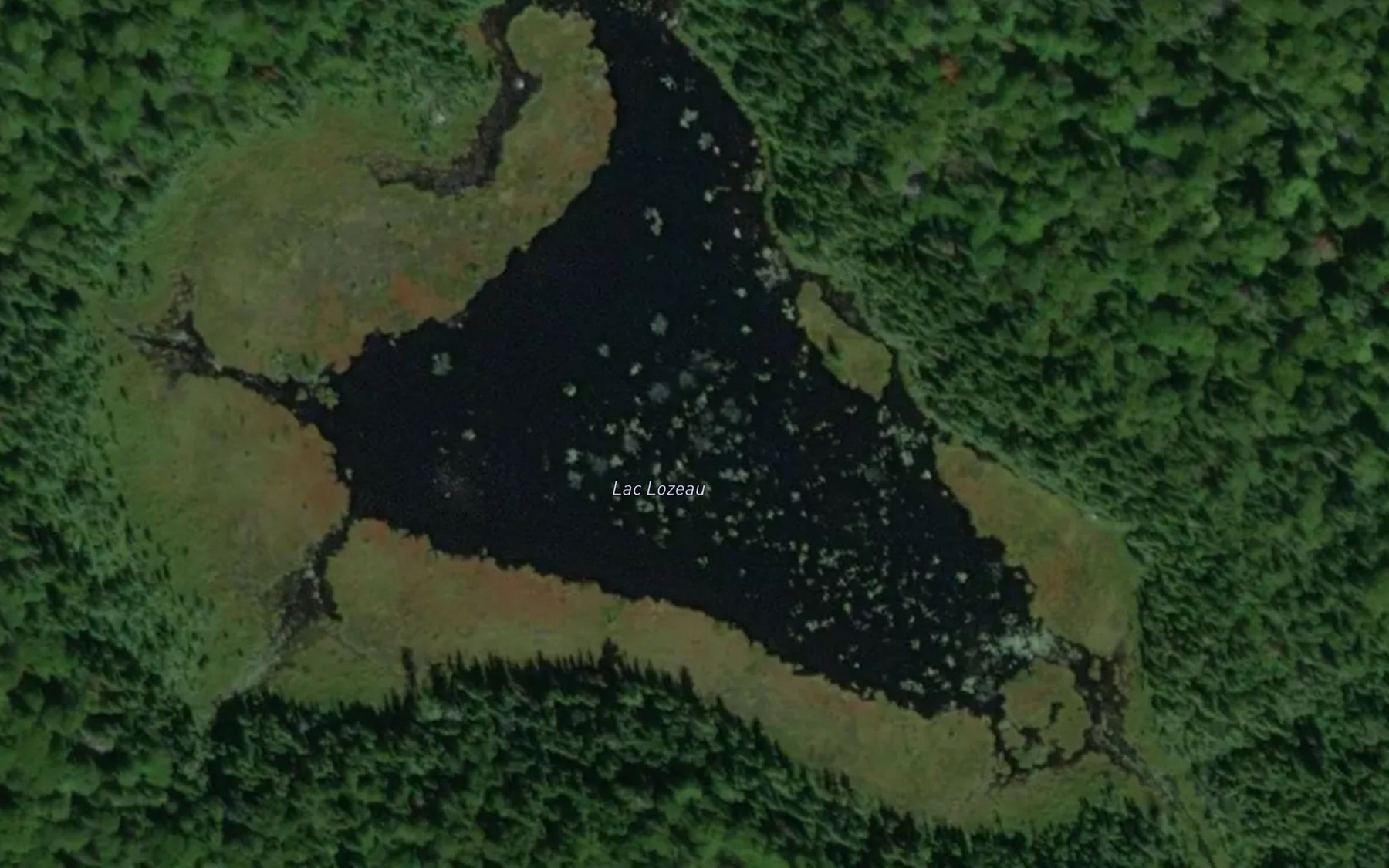 Satellite map of the Lac Lozeau