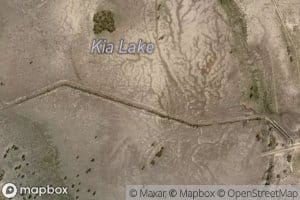 Kia Swamp