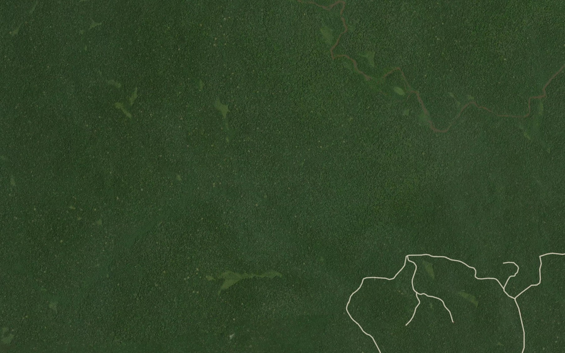 Satellite map of the Guta