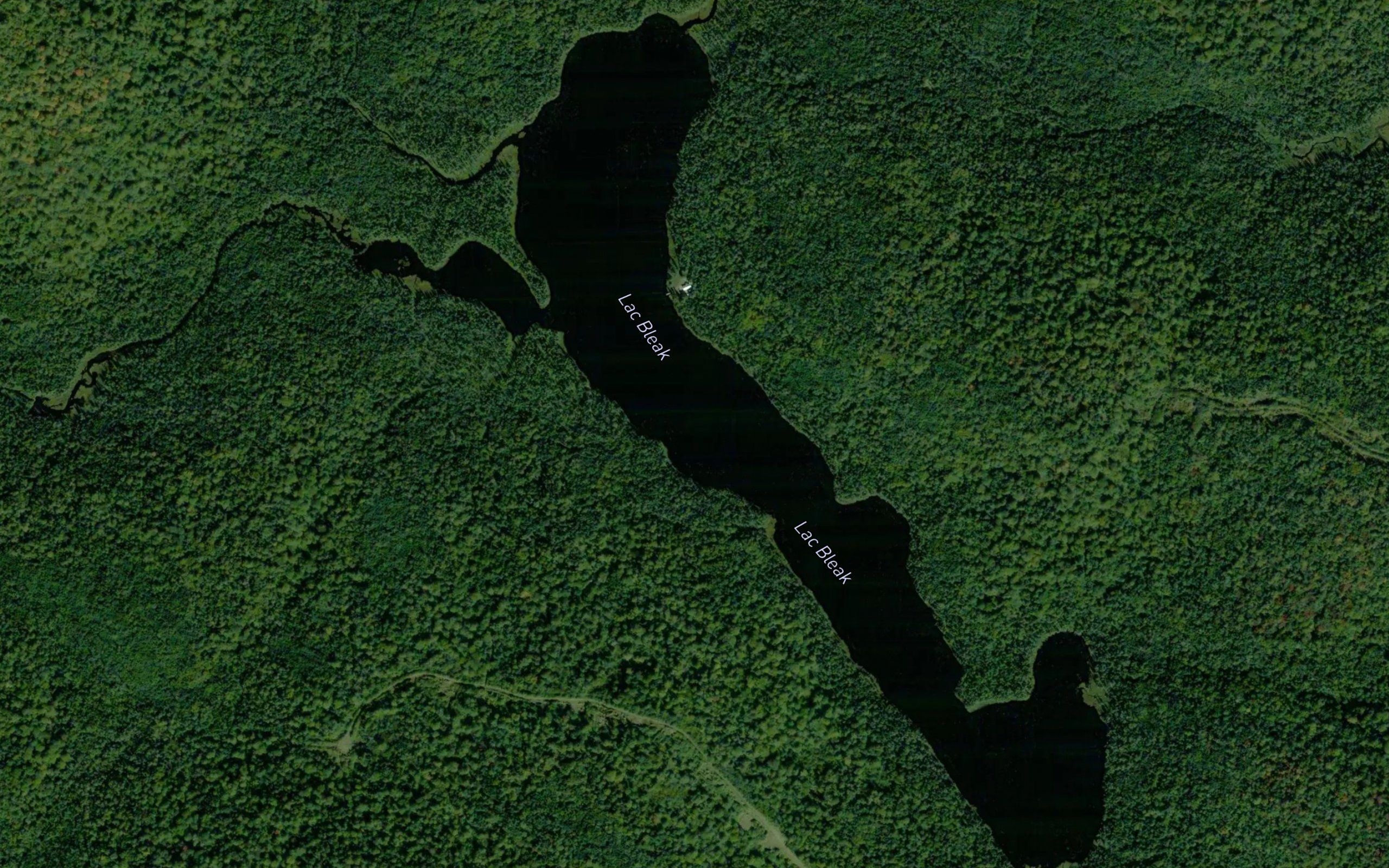 Lac Bleak