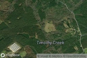 Timothy Creek
