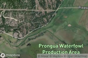 Pleasant Valley Creek