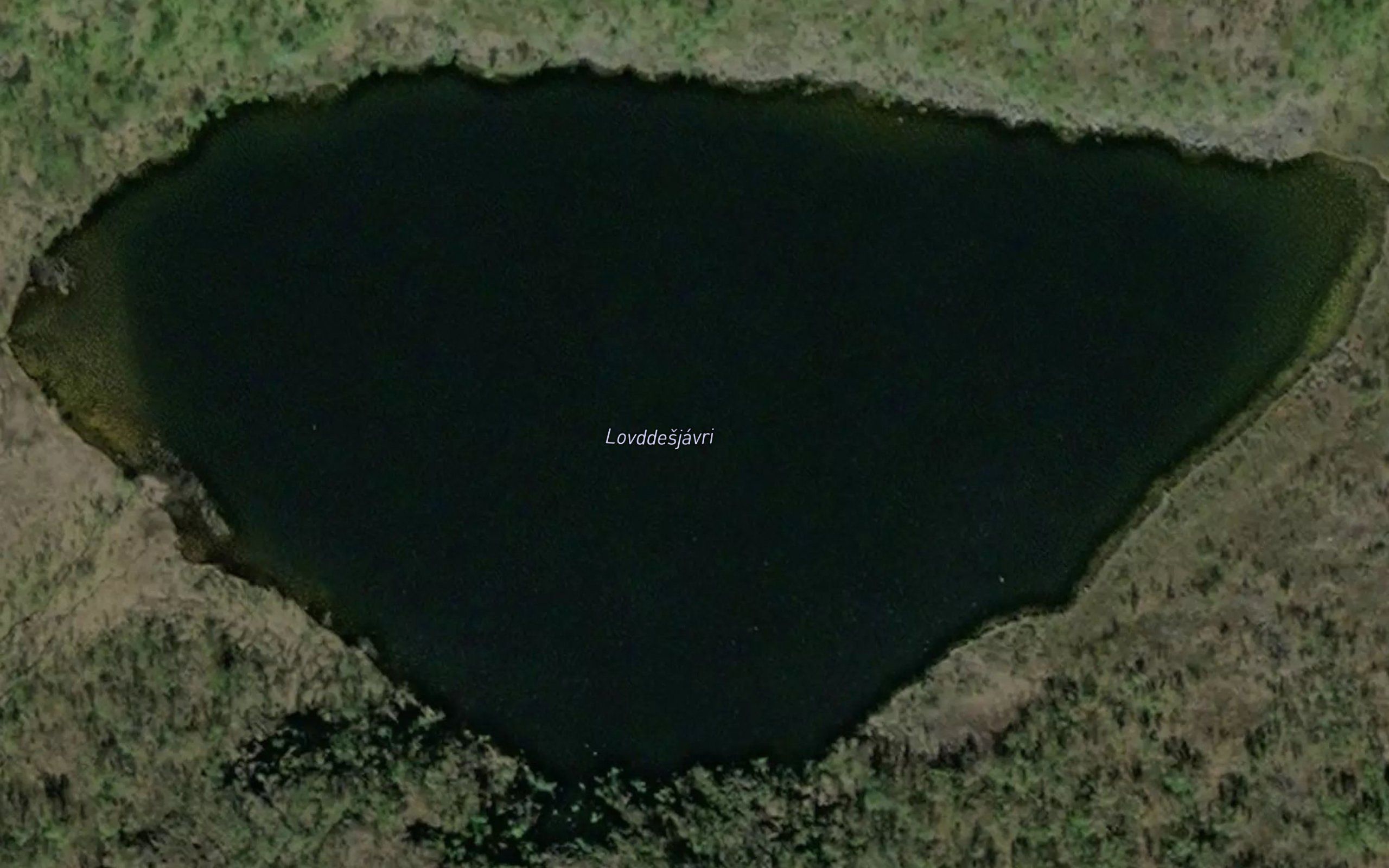 Lovddesjavri