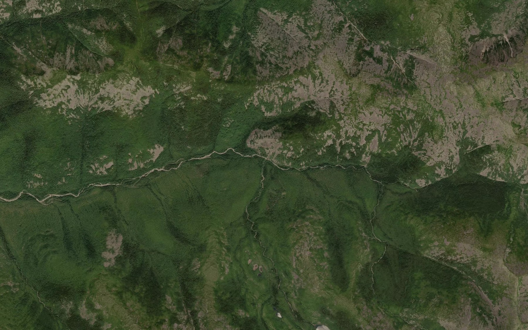 Satellite map of the Lednikovyy