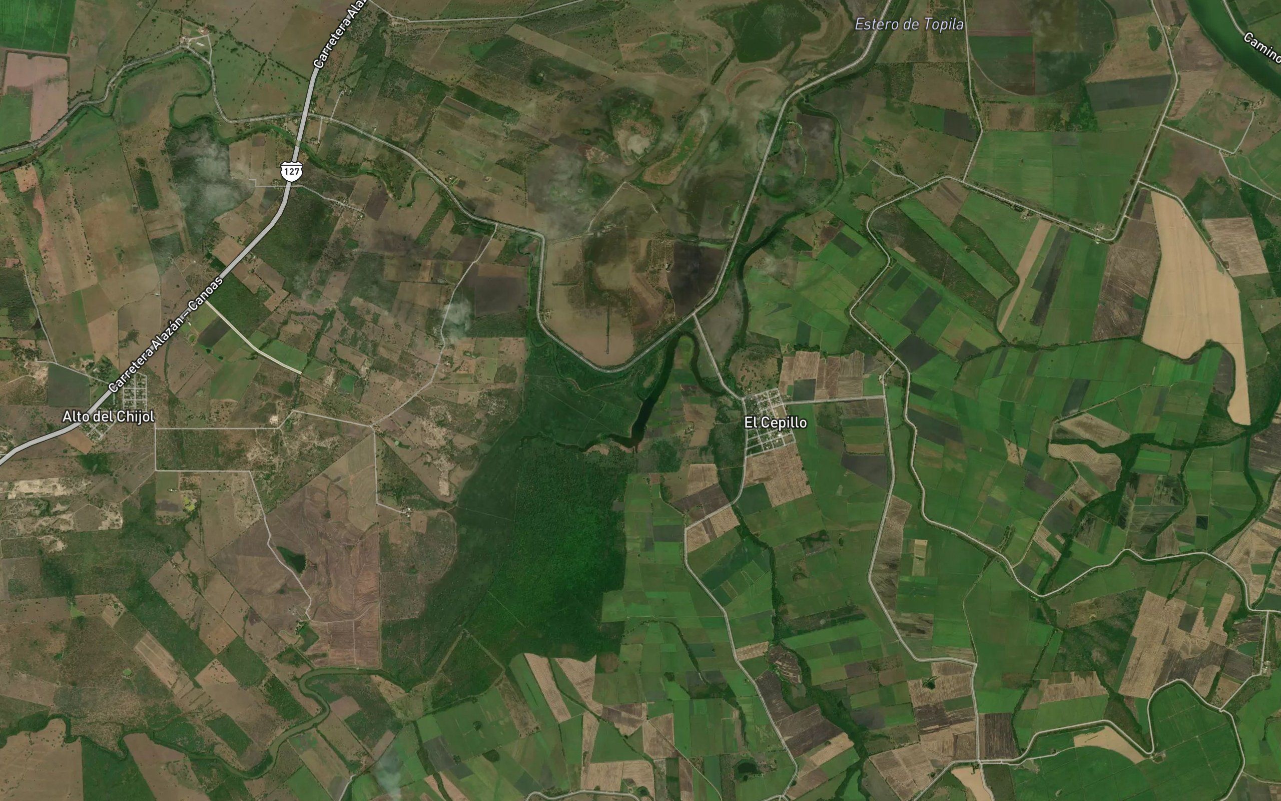 Estero Paite