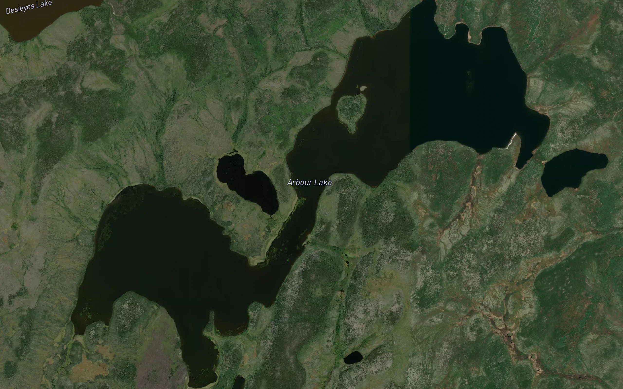 Arbour Lake