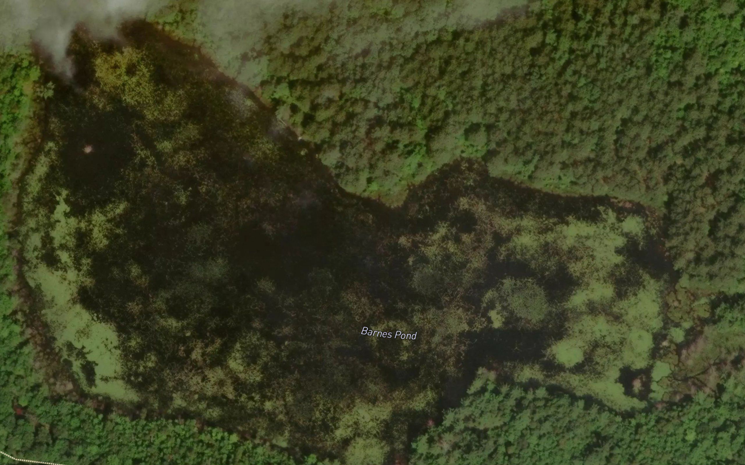Barnes Pond