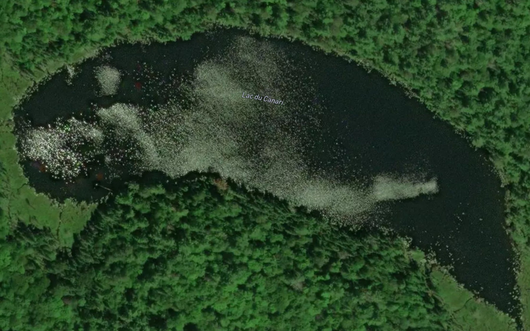 Satellite map of the Lac du Canari
