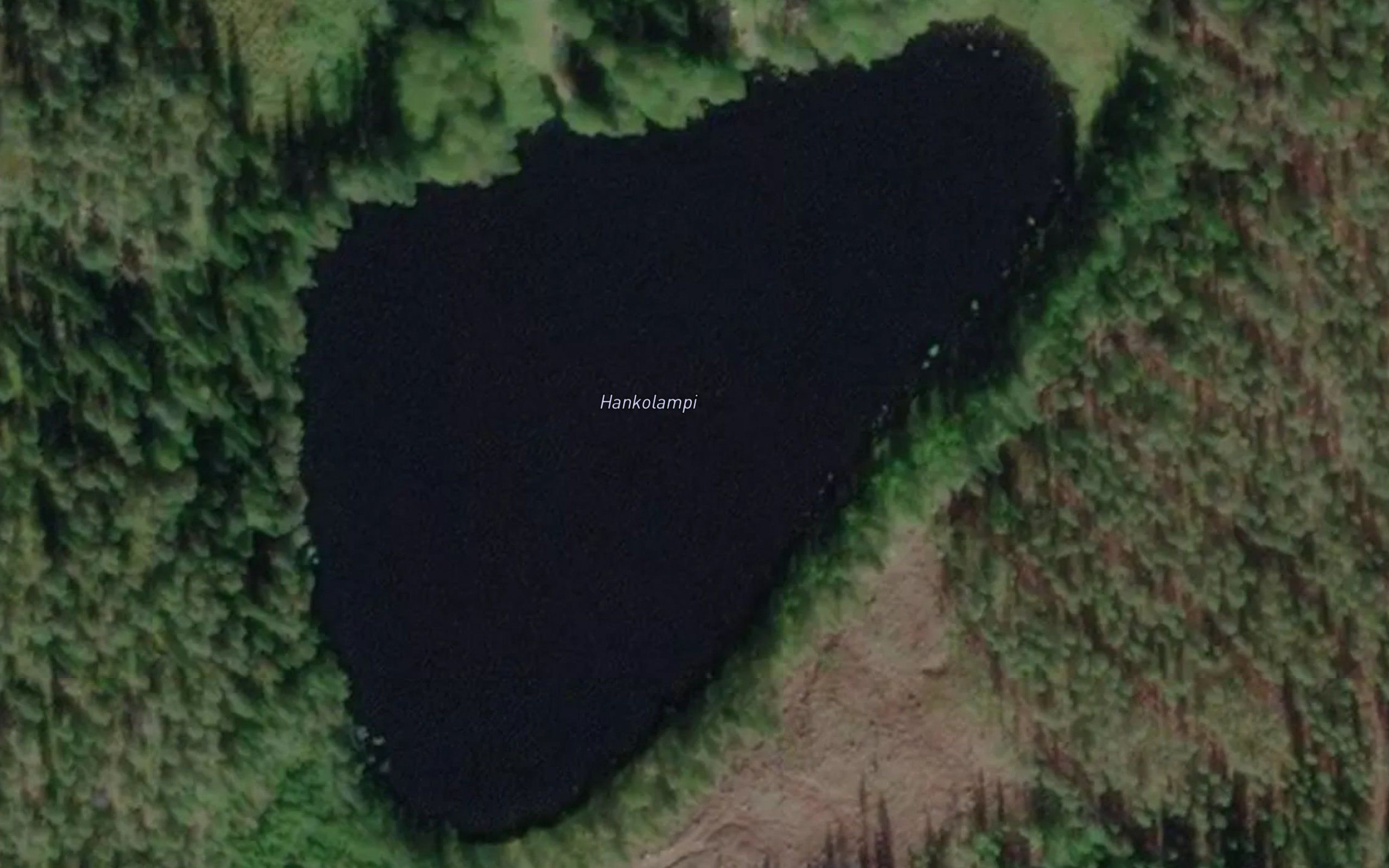 Hankolampi