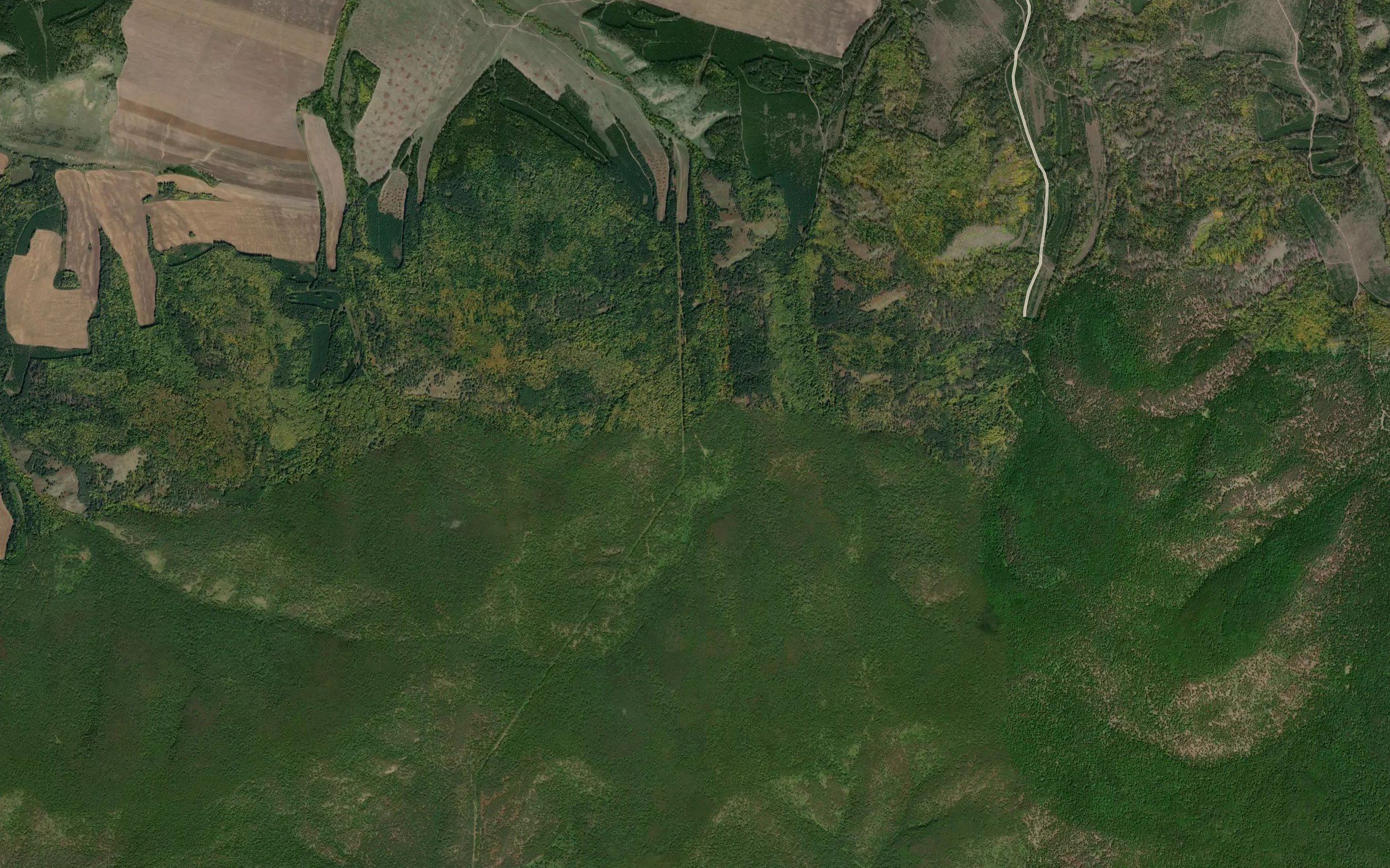 Pad' Kobylkina