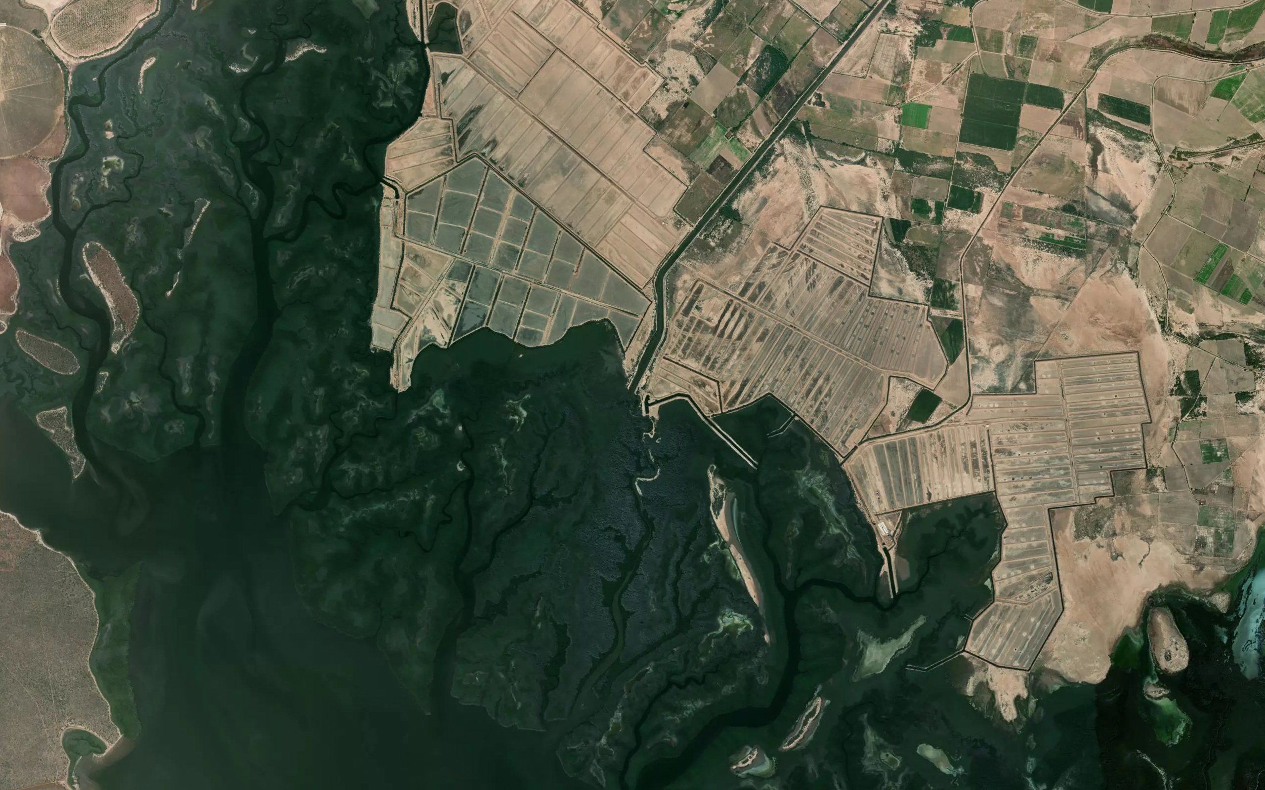 Buenaventura