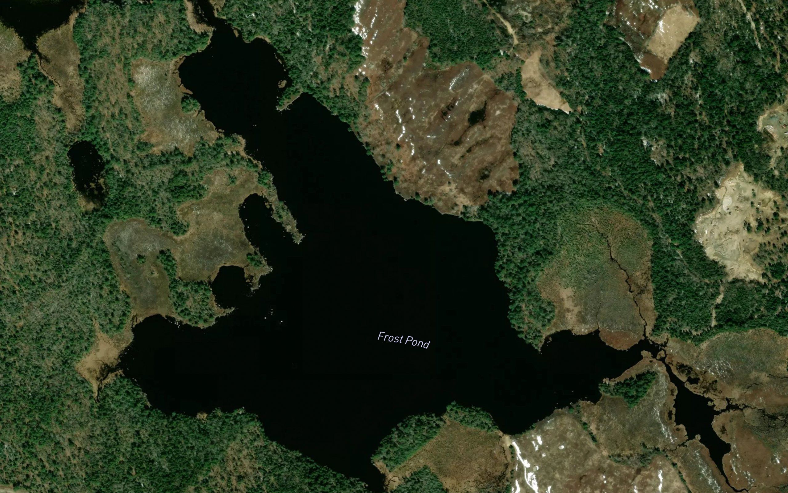 Frost Pond