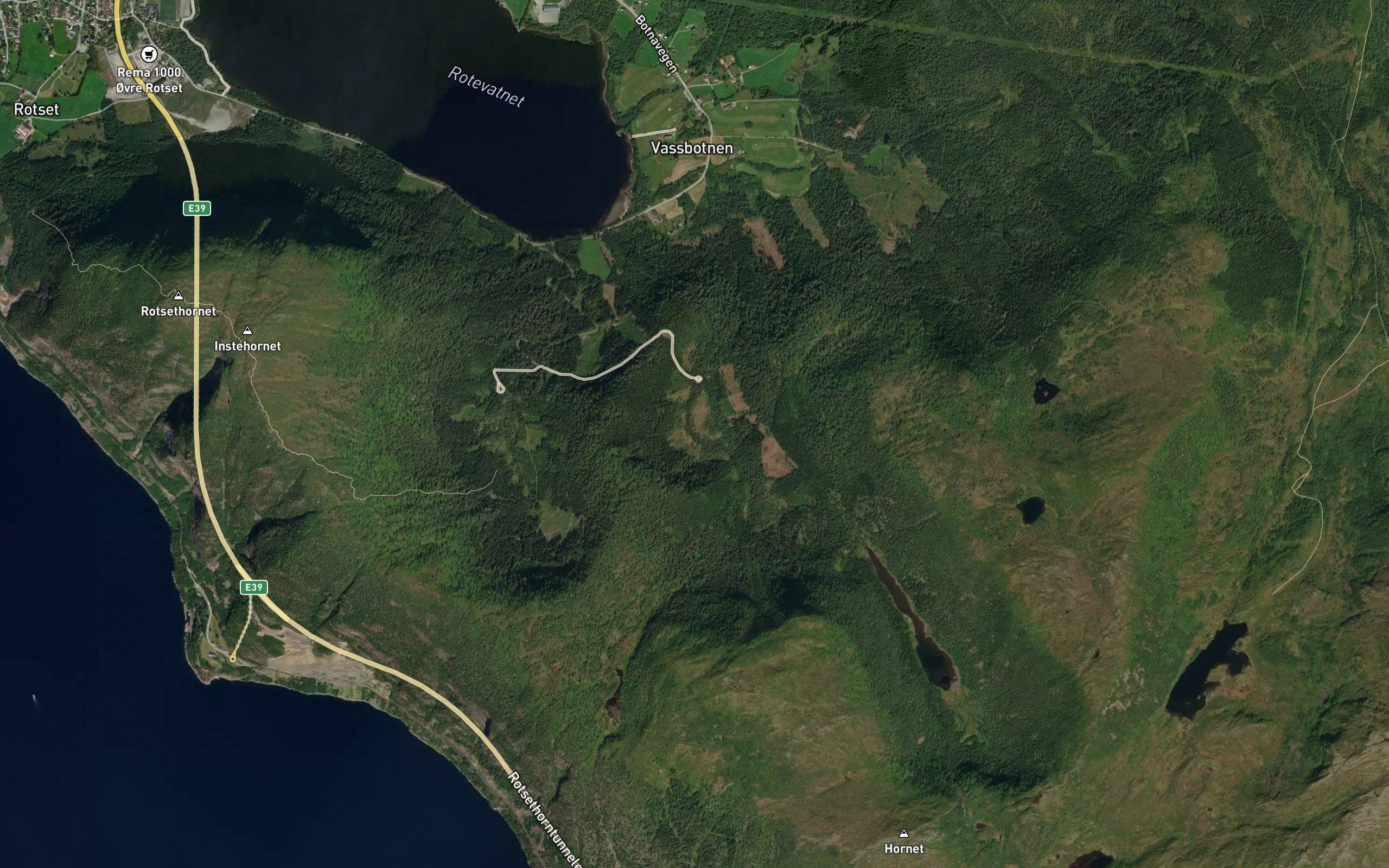 Hogedalselva