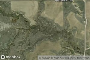 East Fork Lone Tree Creek