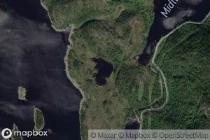 Gastjorni