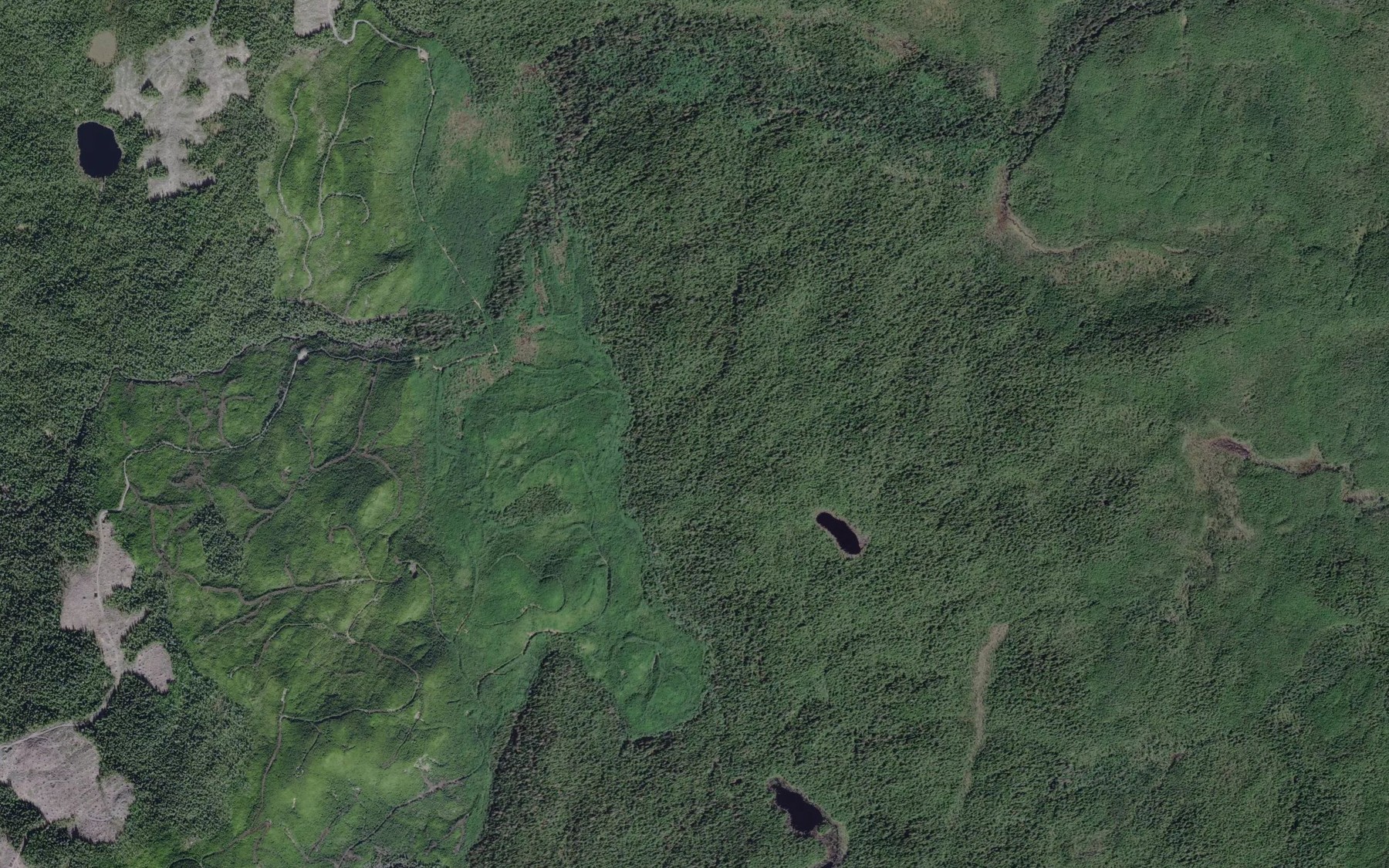 Satellite map of the Three Mile Creek