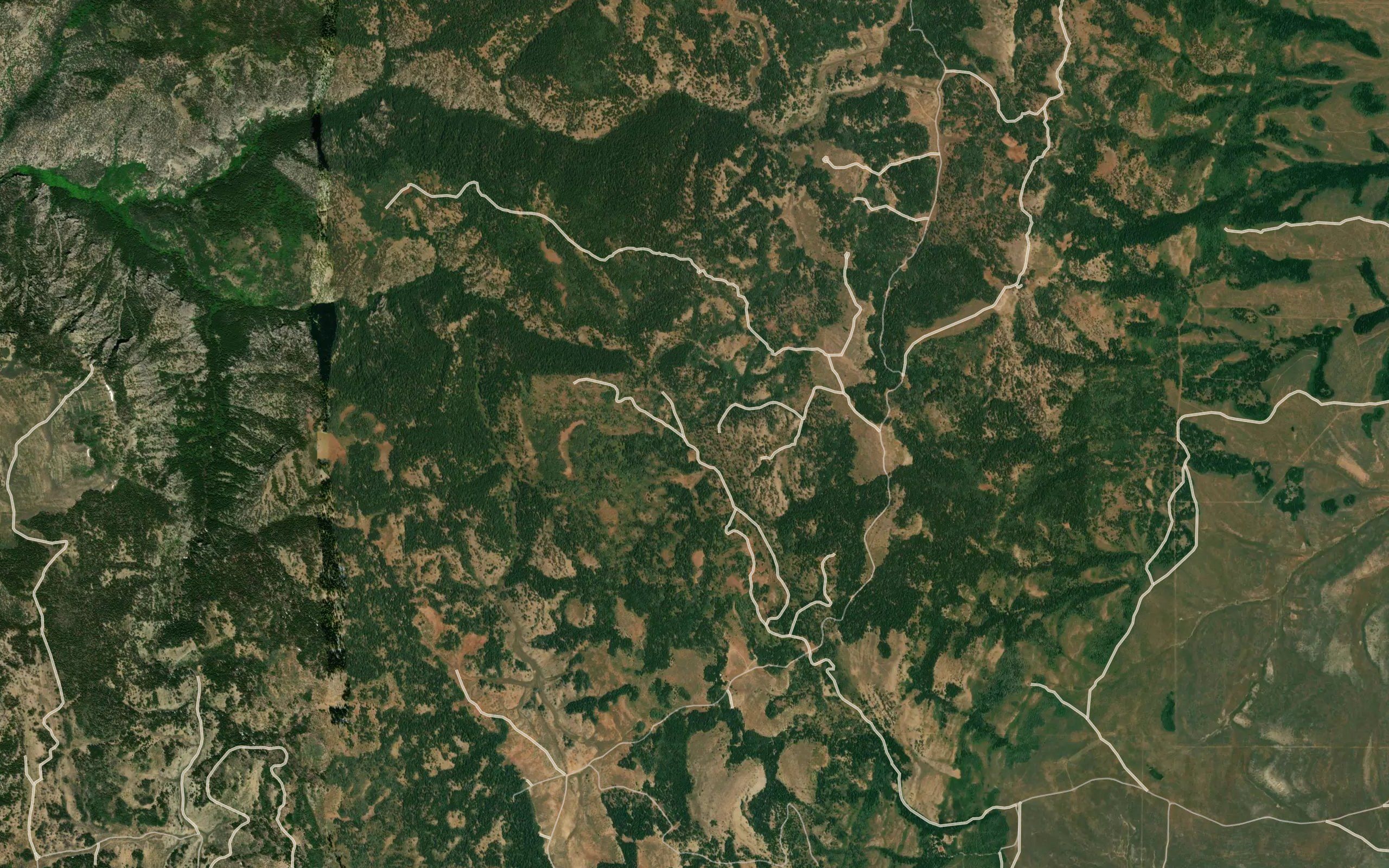 Frazier Spring